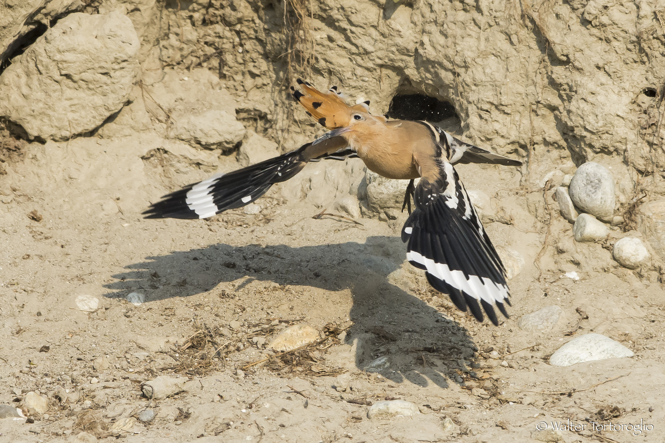 ... I waited a while, but then ...