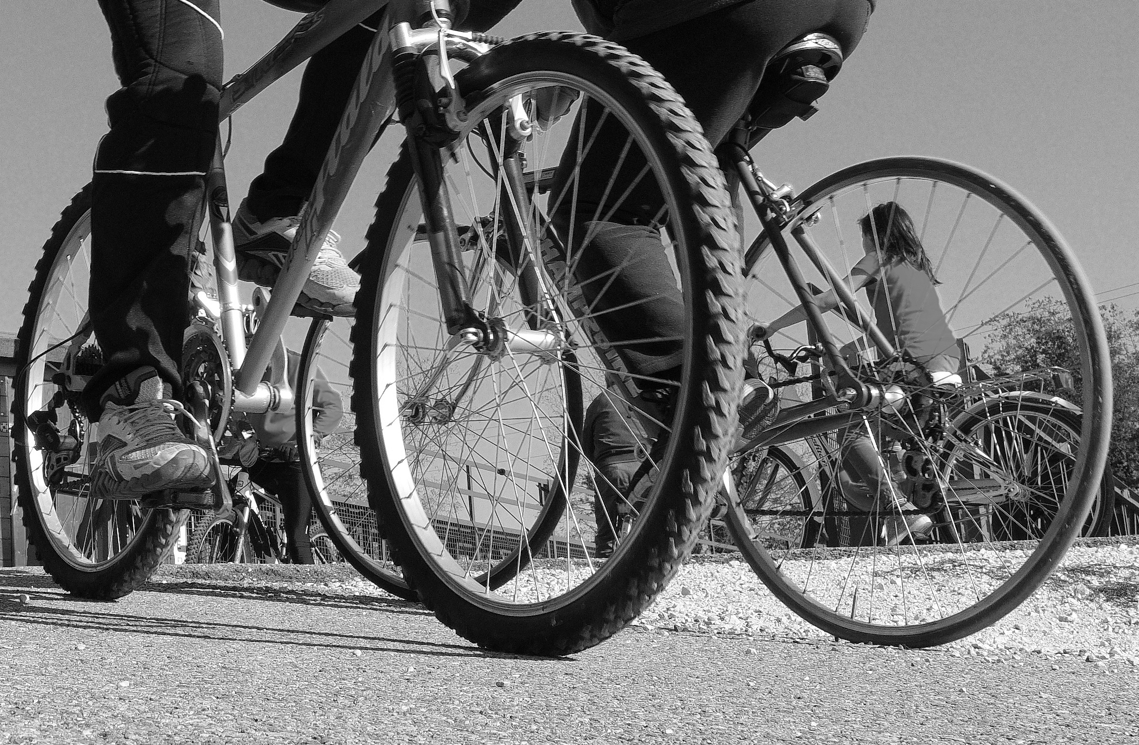 Ostiglia The pedestrian ...