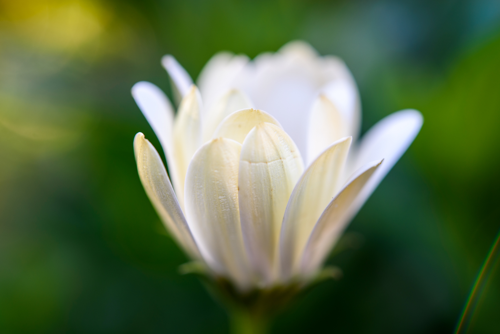 Let's find some peace