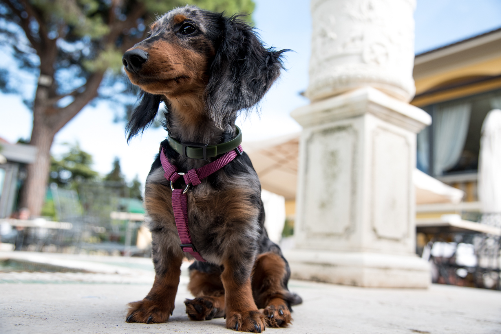 Chanel posing for me