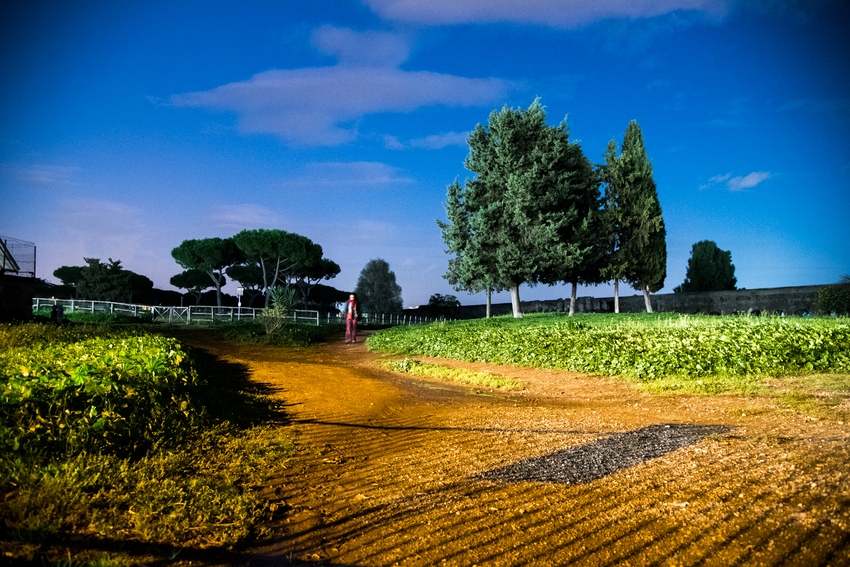 Parco degli acquedotti (Rome)