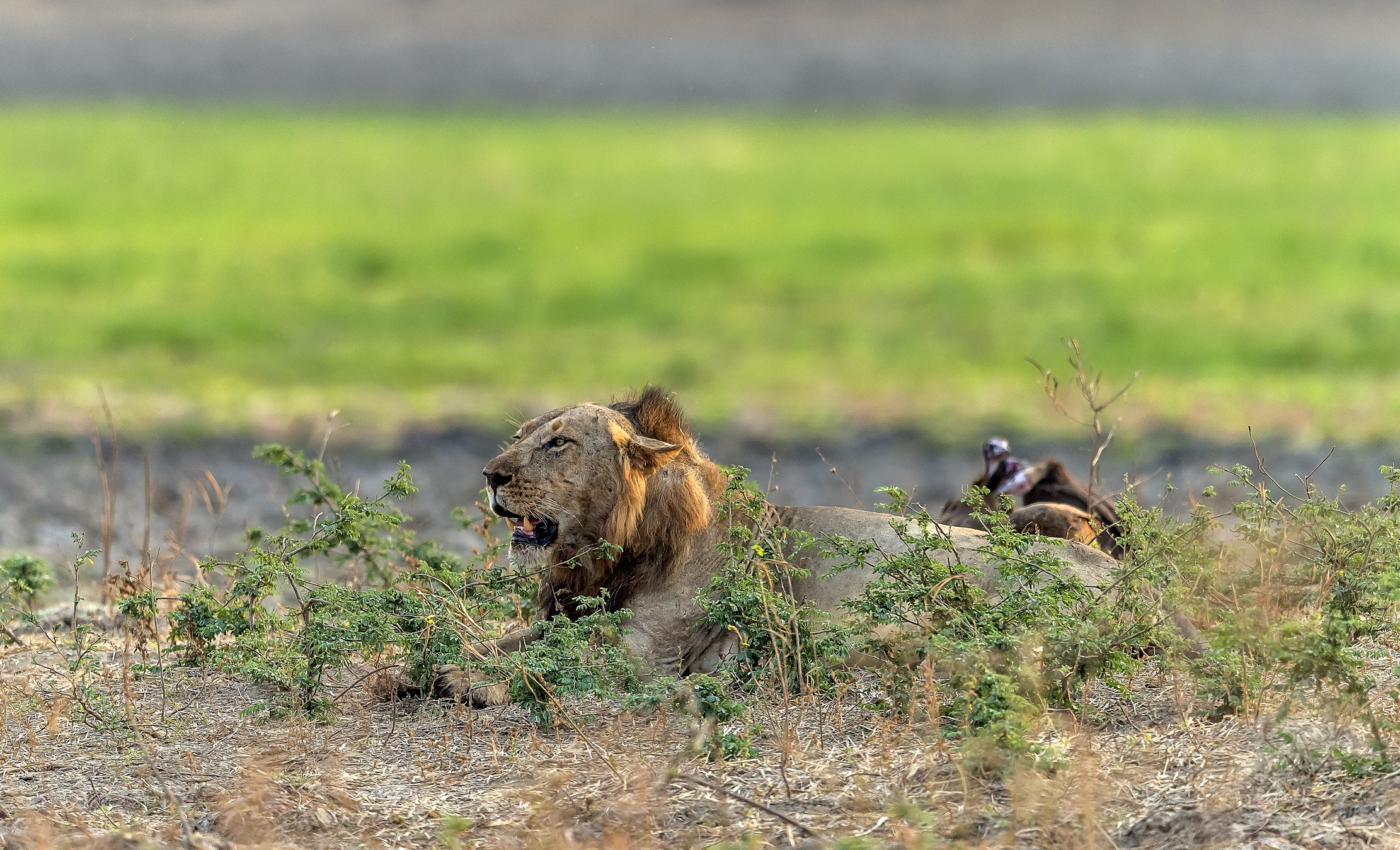 Zambia 2015 - All'alba