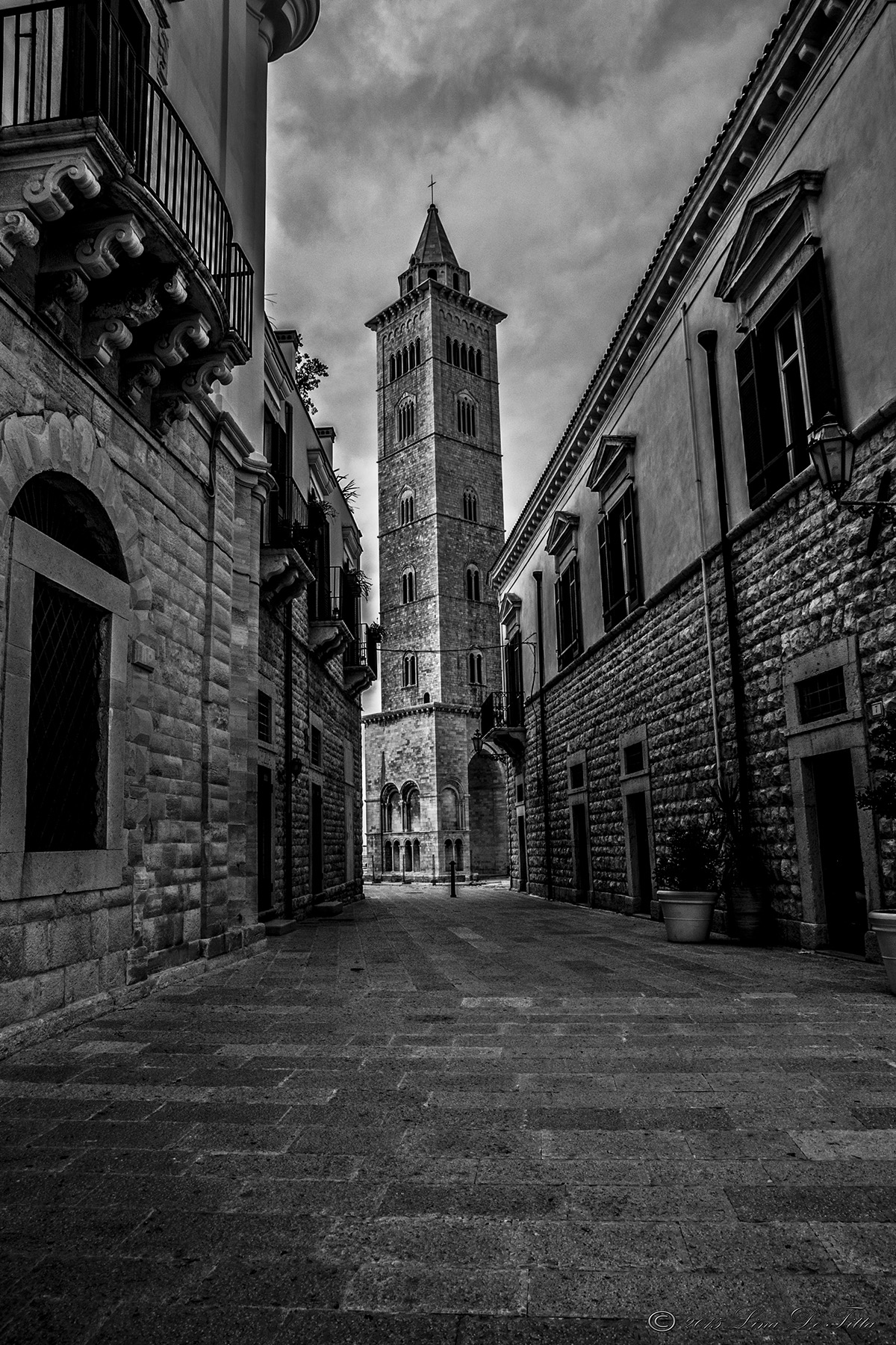 Torre campanaria (Cattedrale di Trani)