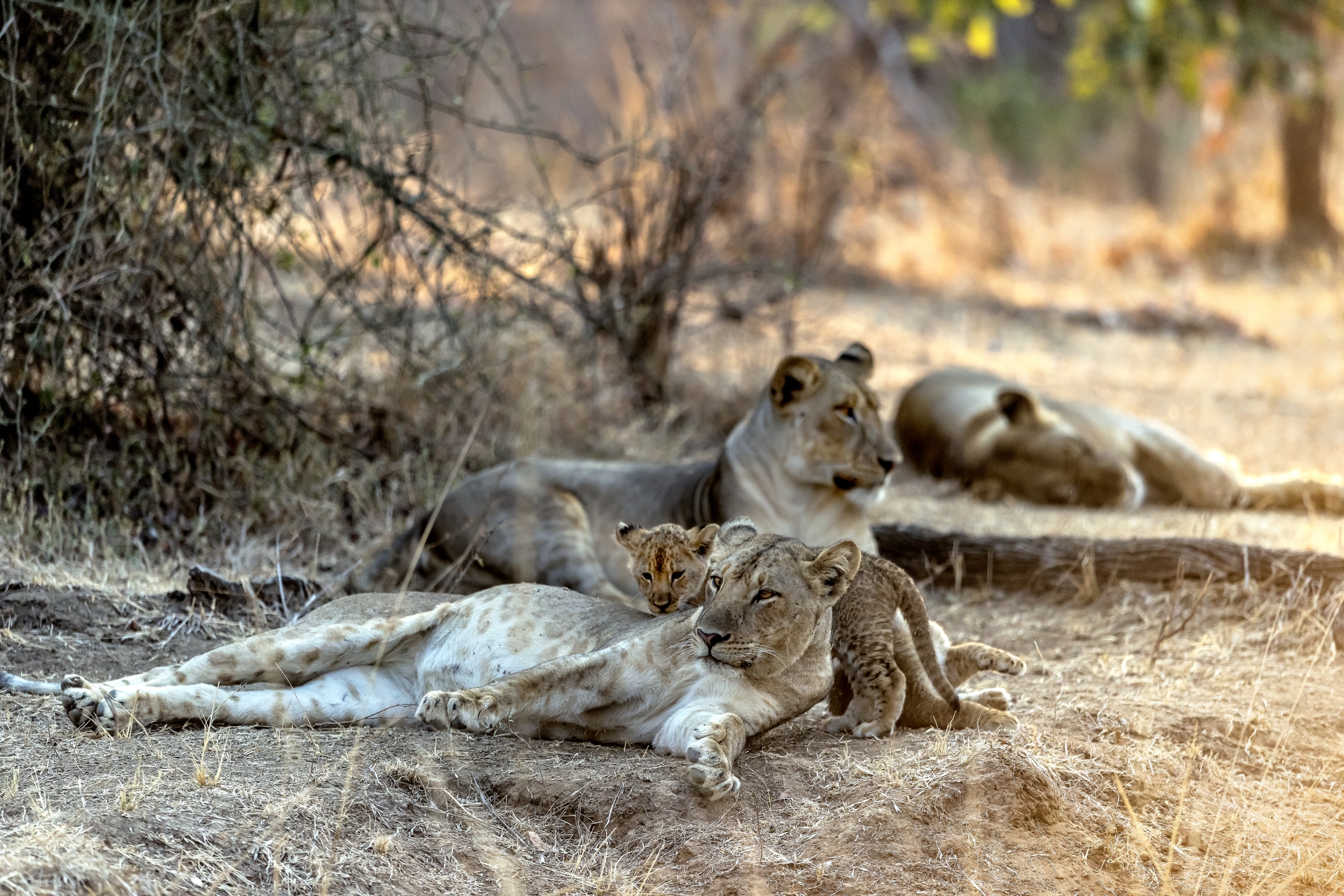 Zambia 2015 - In famiglia