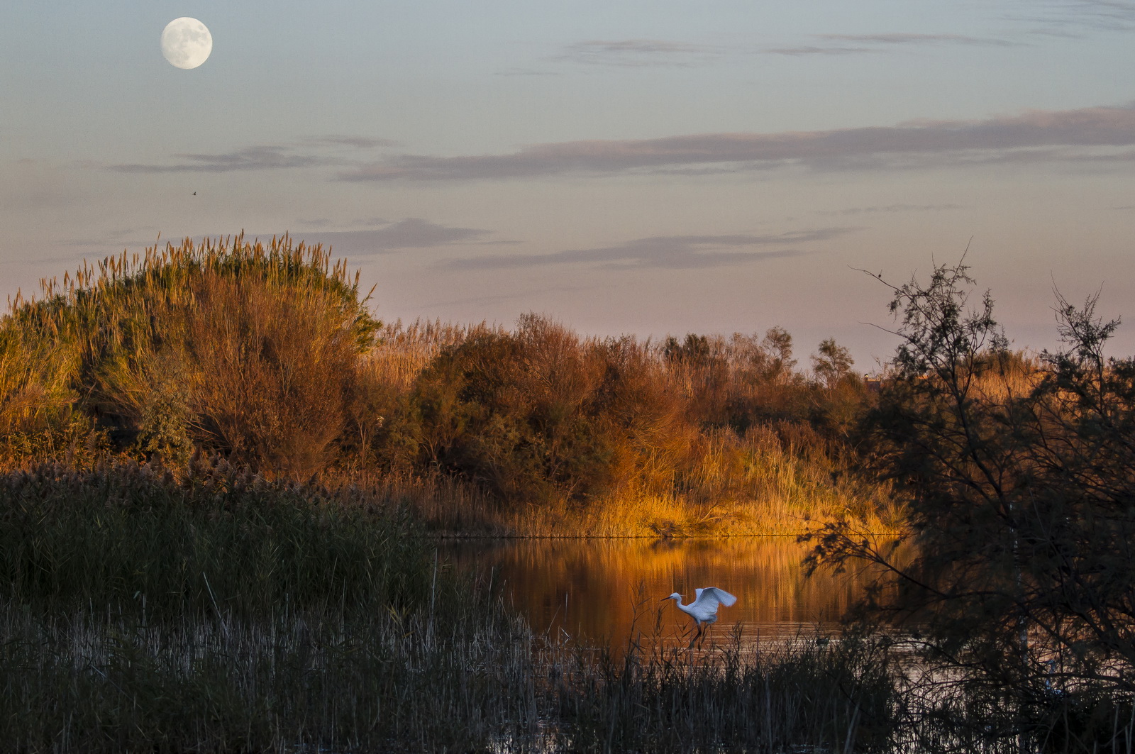 Last light of the day to the Mediterranean Habitat Centre