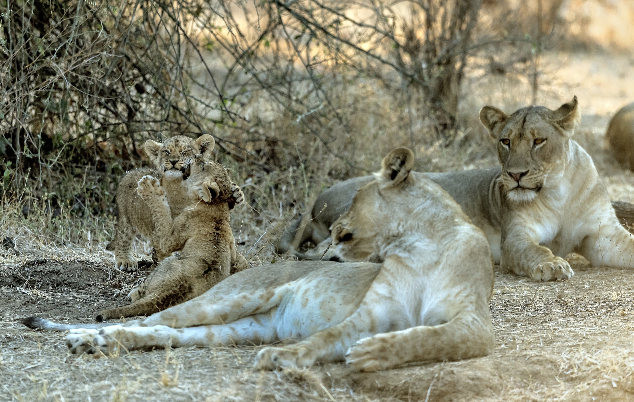 Zambia 2015 - Giochi in famiglia