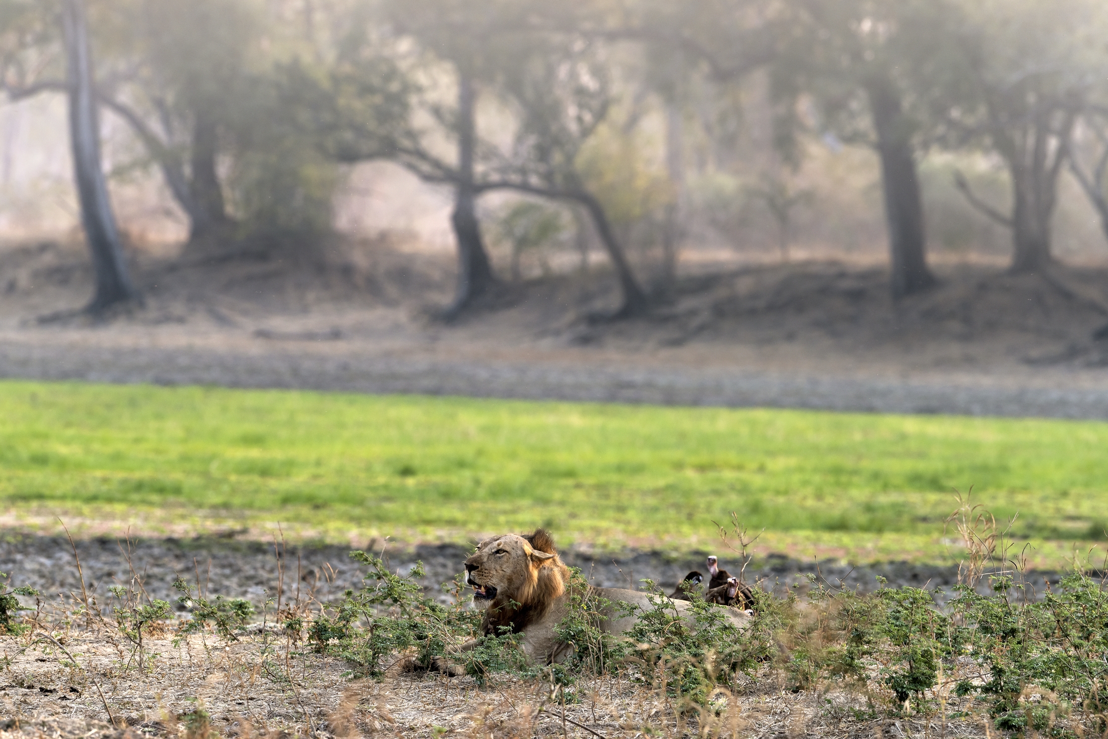 Zambia 2015 - All'alba