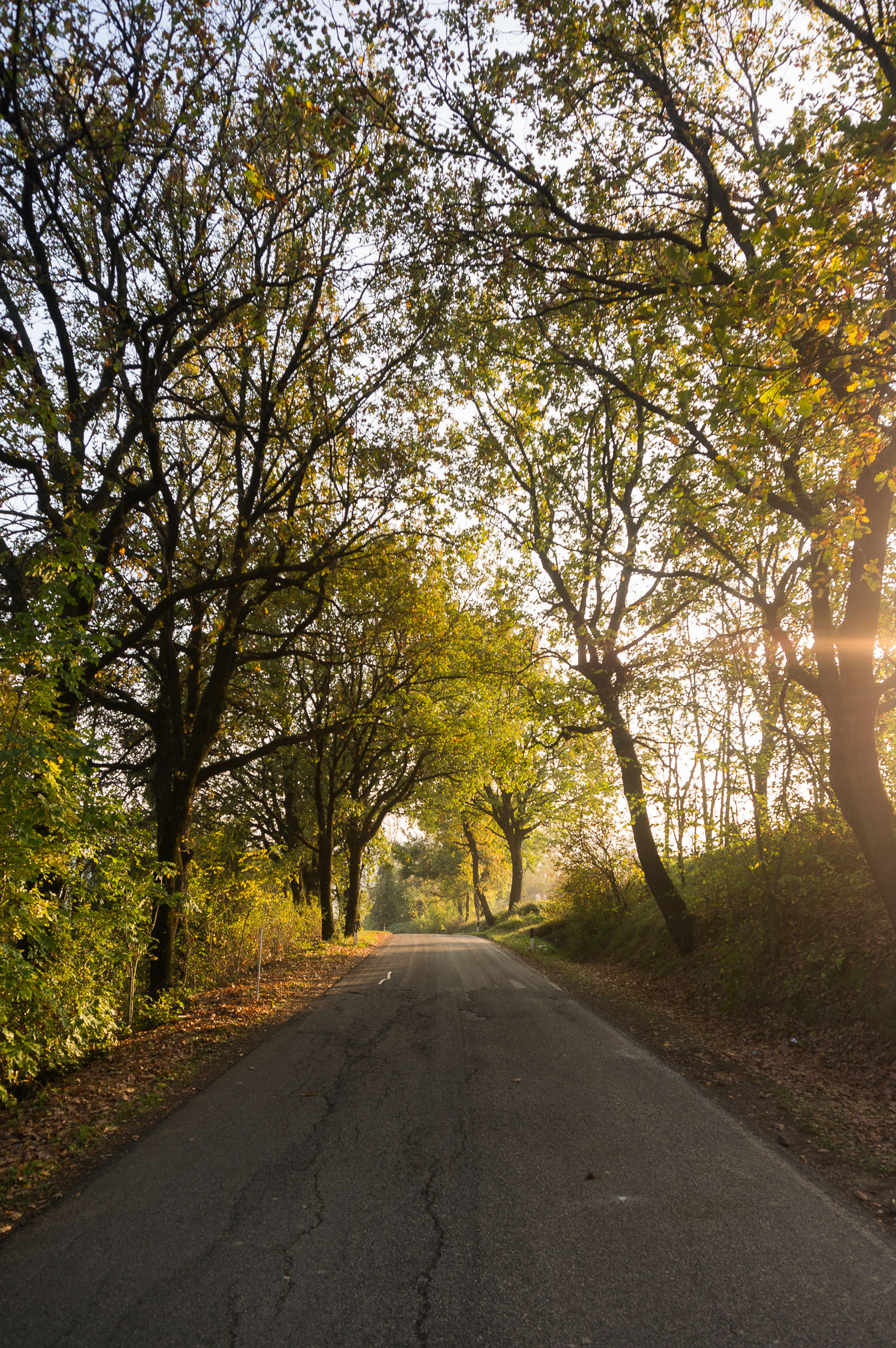 Combining photos to cycling