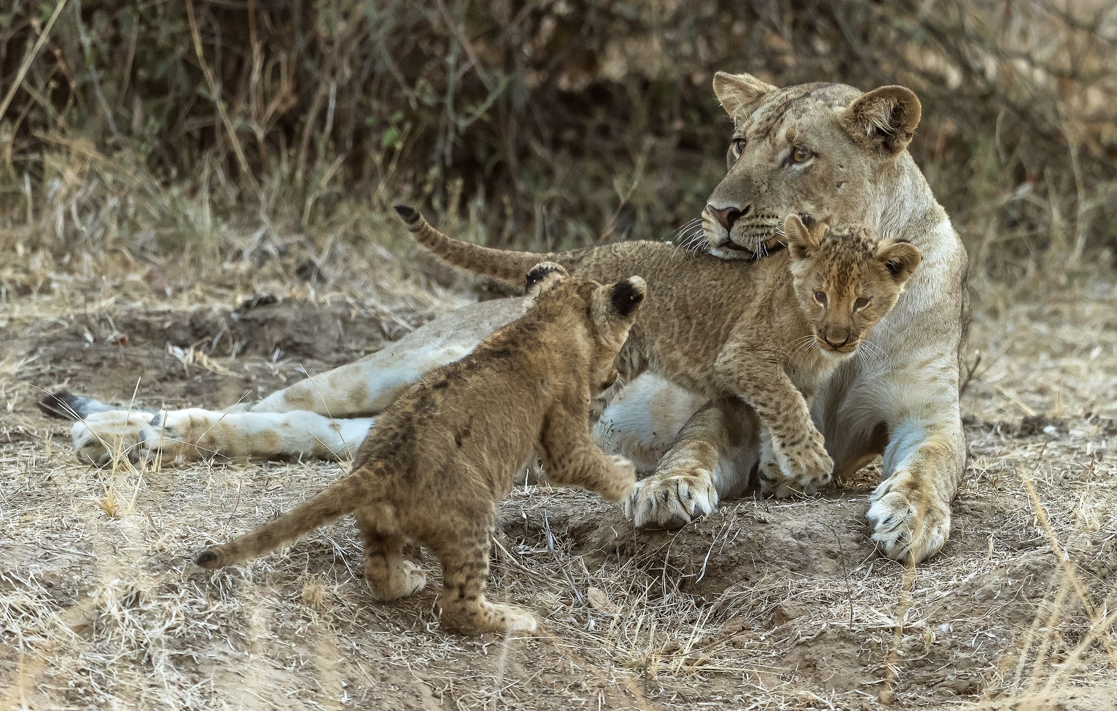 Zambia 2015 - Giochi in famiglia