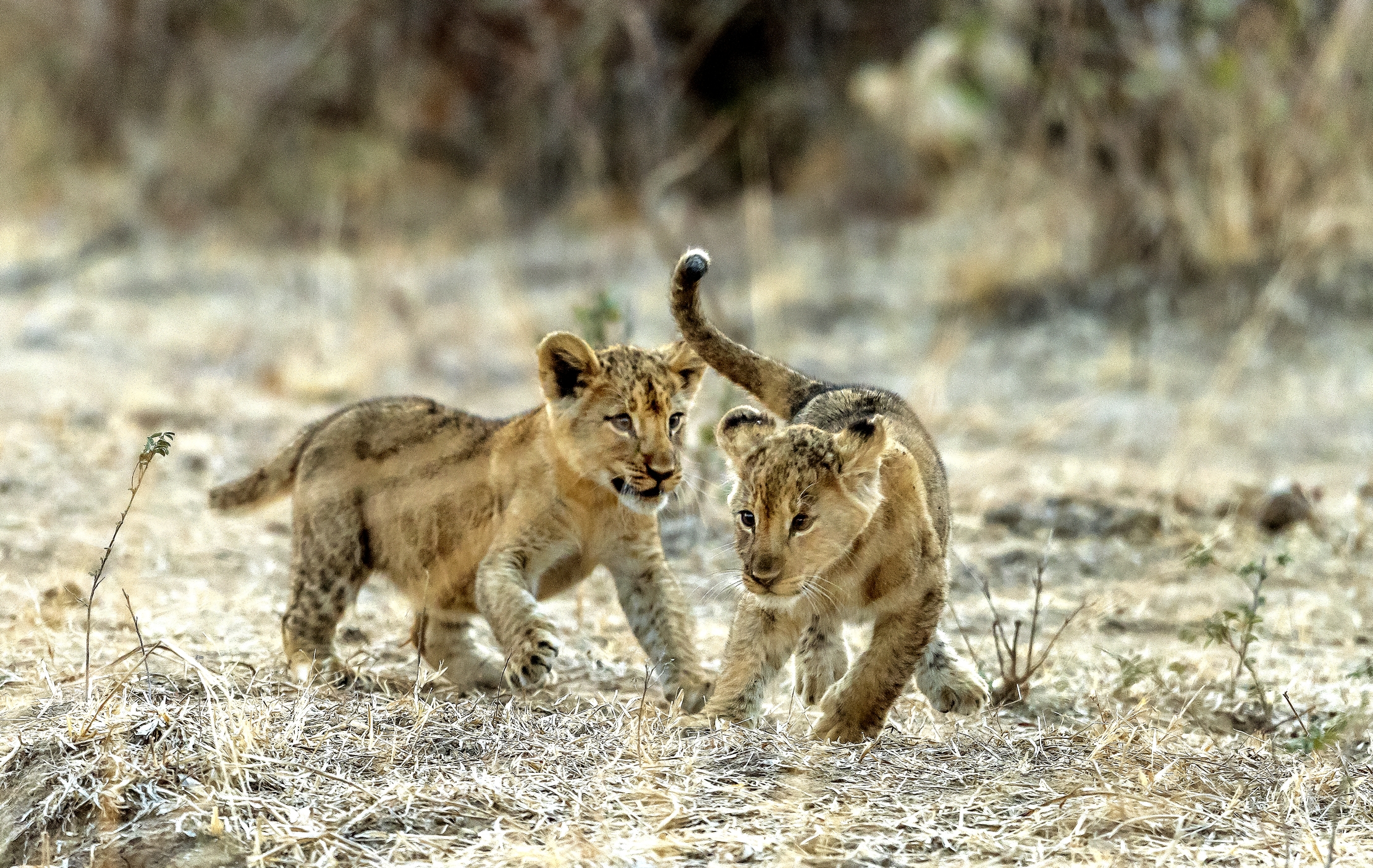 Zambia 2015 - Giochi