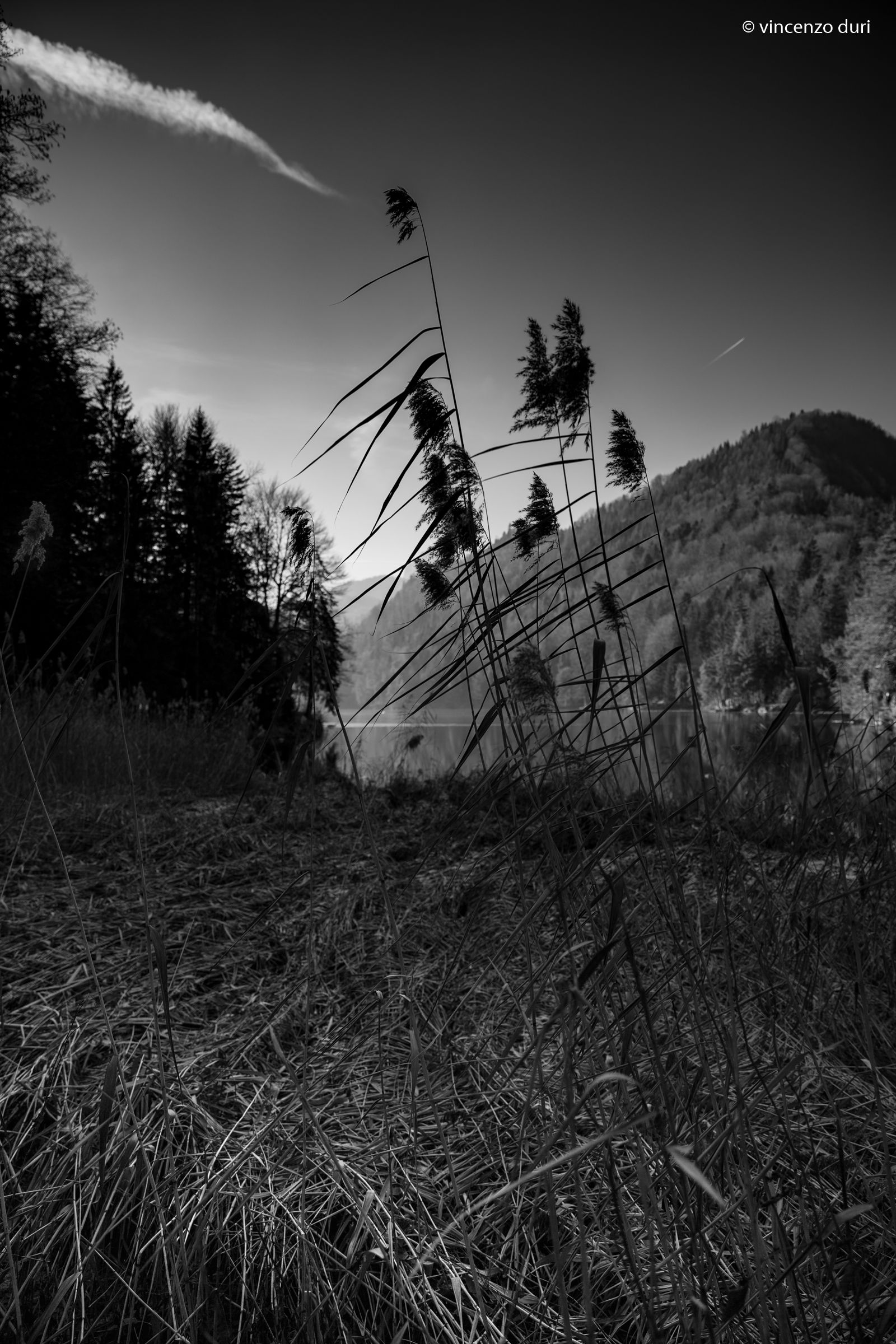 Campagna contro il fumo