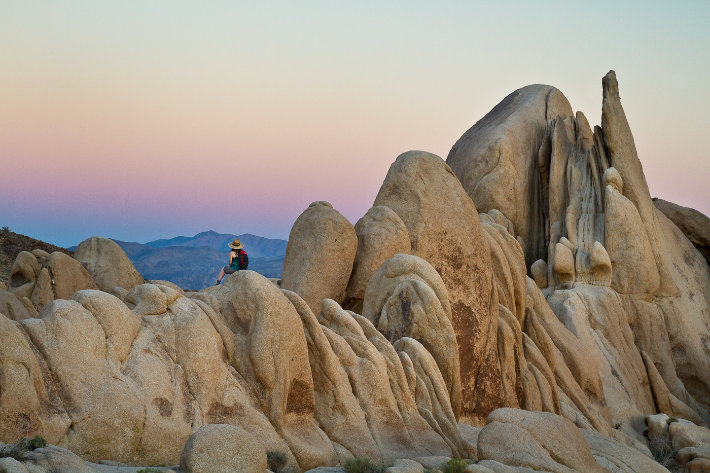 Sunset in Joshua Tree