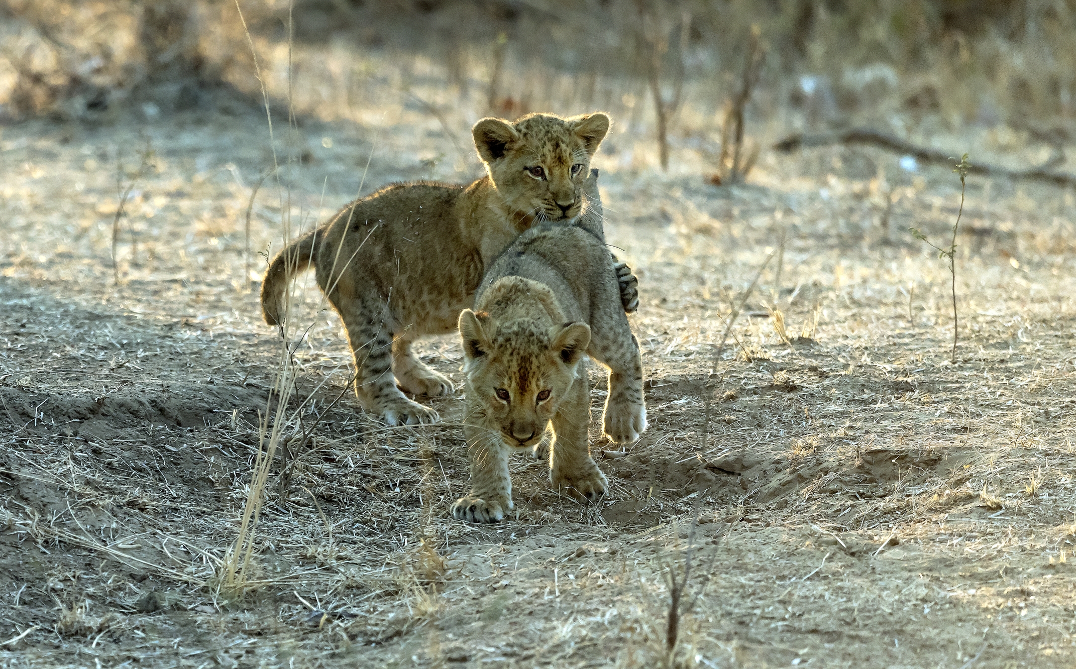 Zambia 2015 - Giochi
