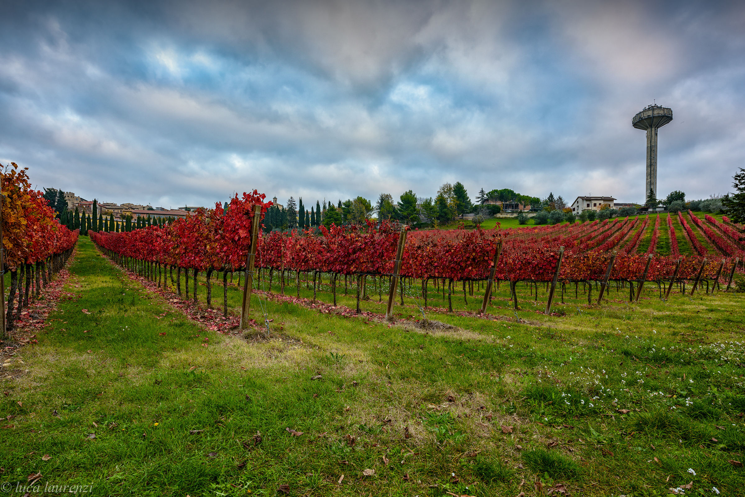 Comes the autumn for Sagrantino