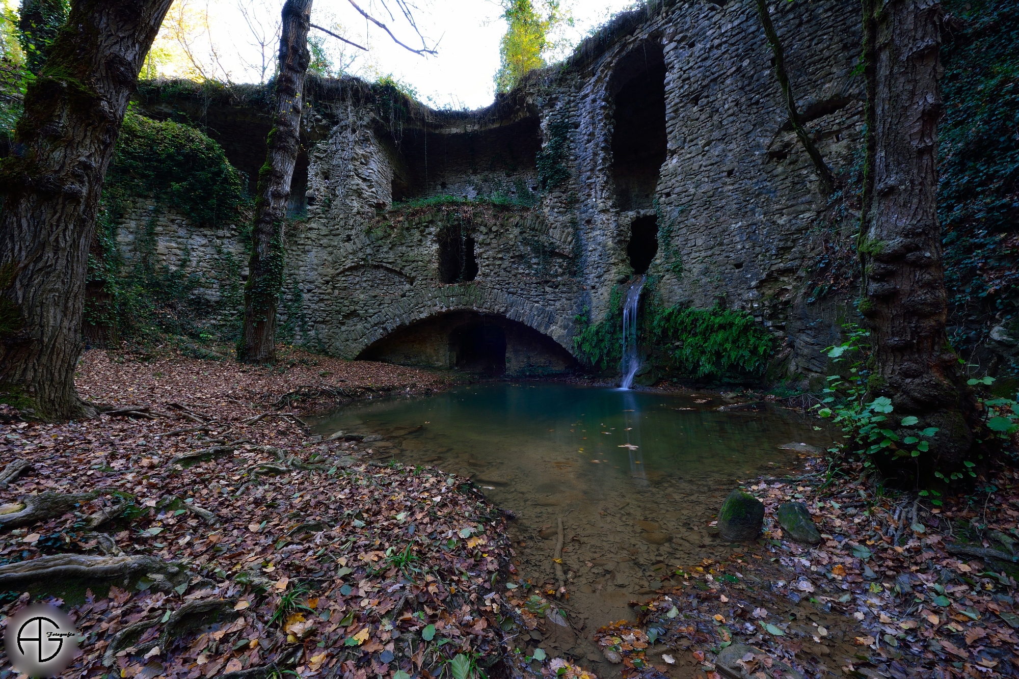 Mulinaccio in the woods ...