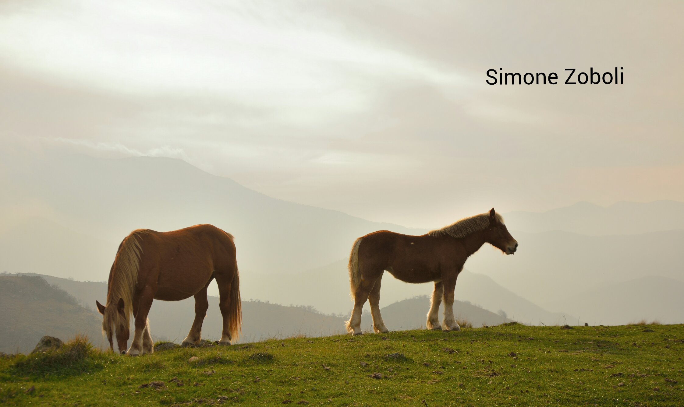 La benedizione della natura.