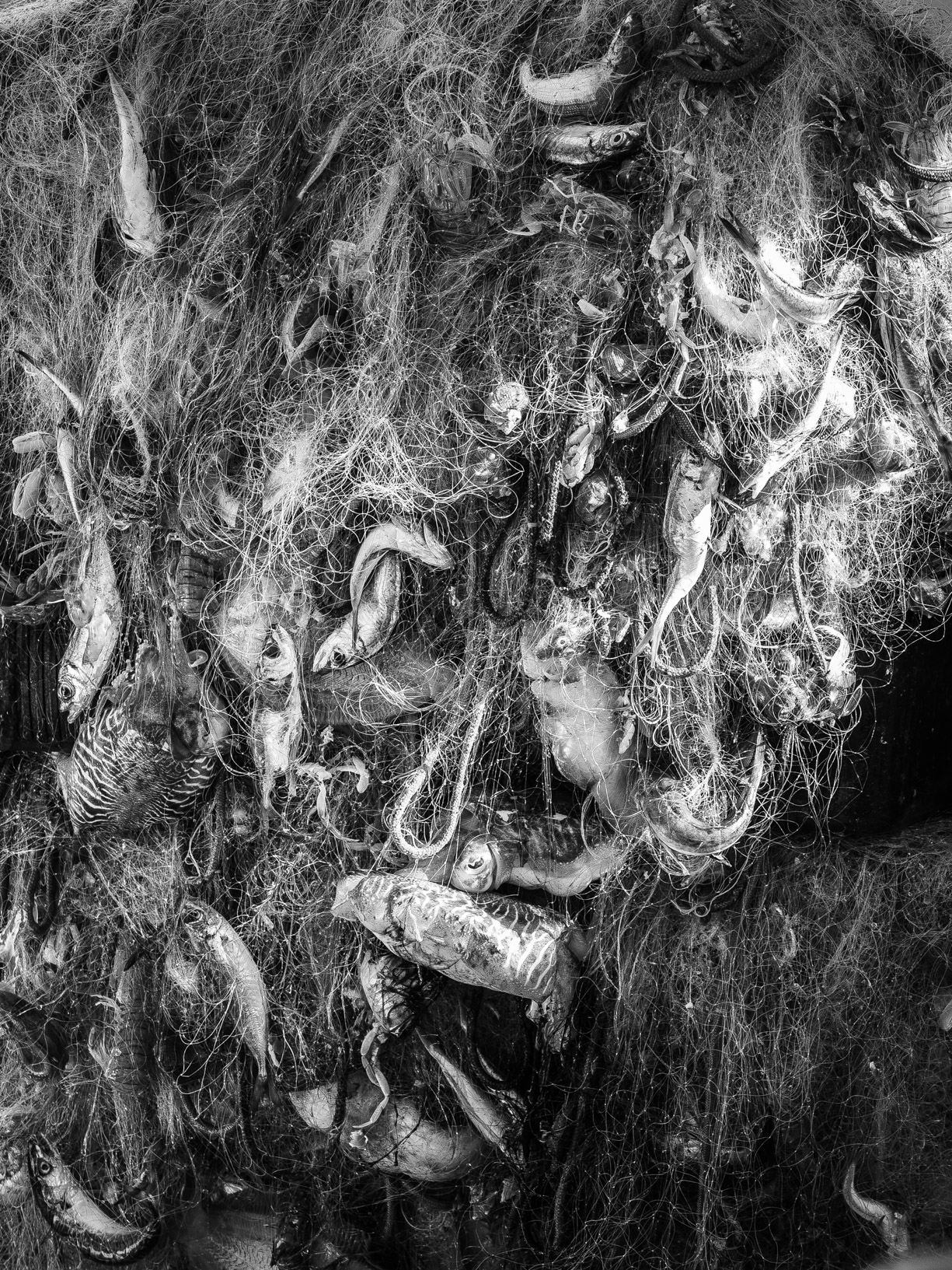 A ride to the dock # 1