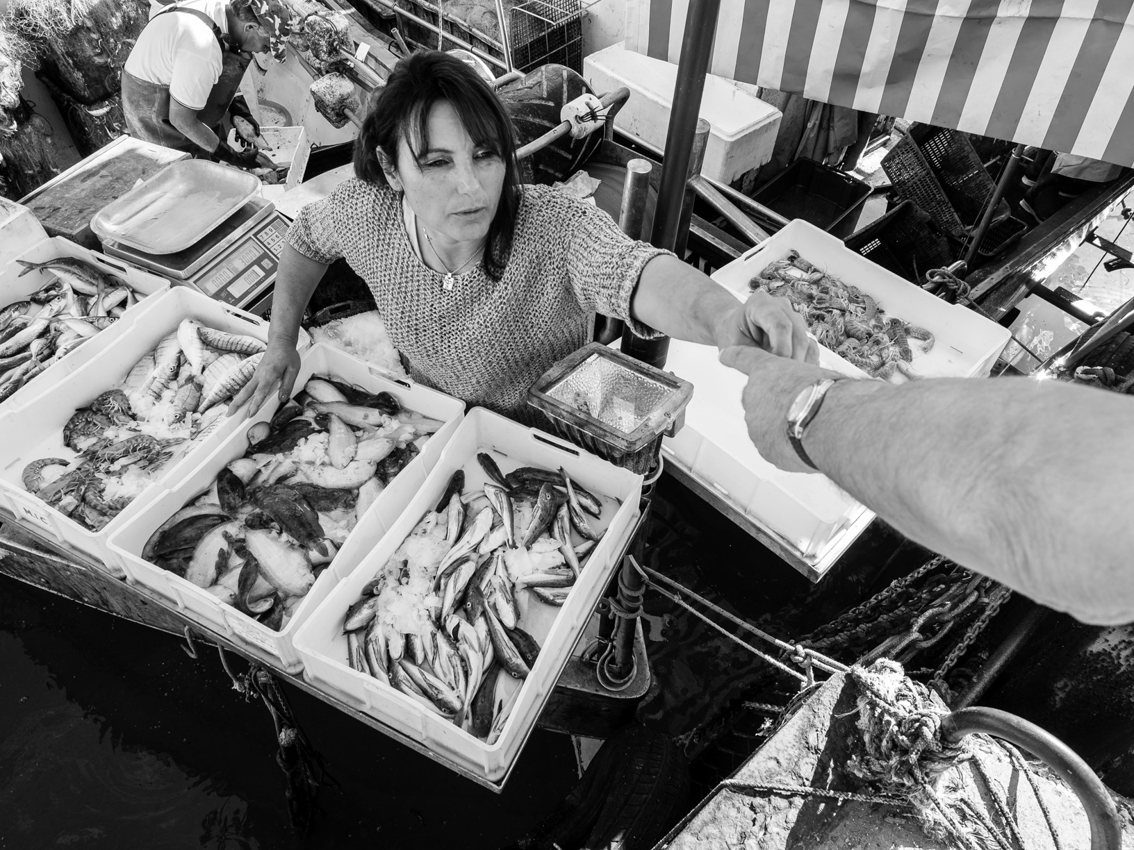 A ride to the dock # 4