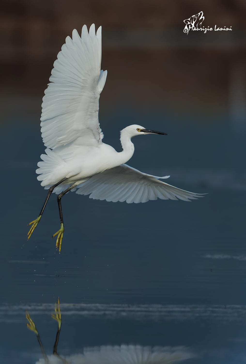 The landing (only HD)