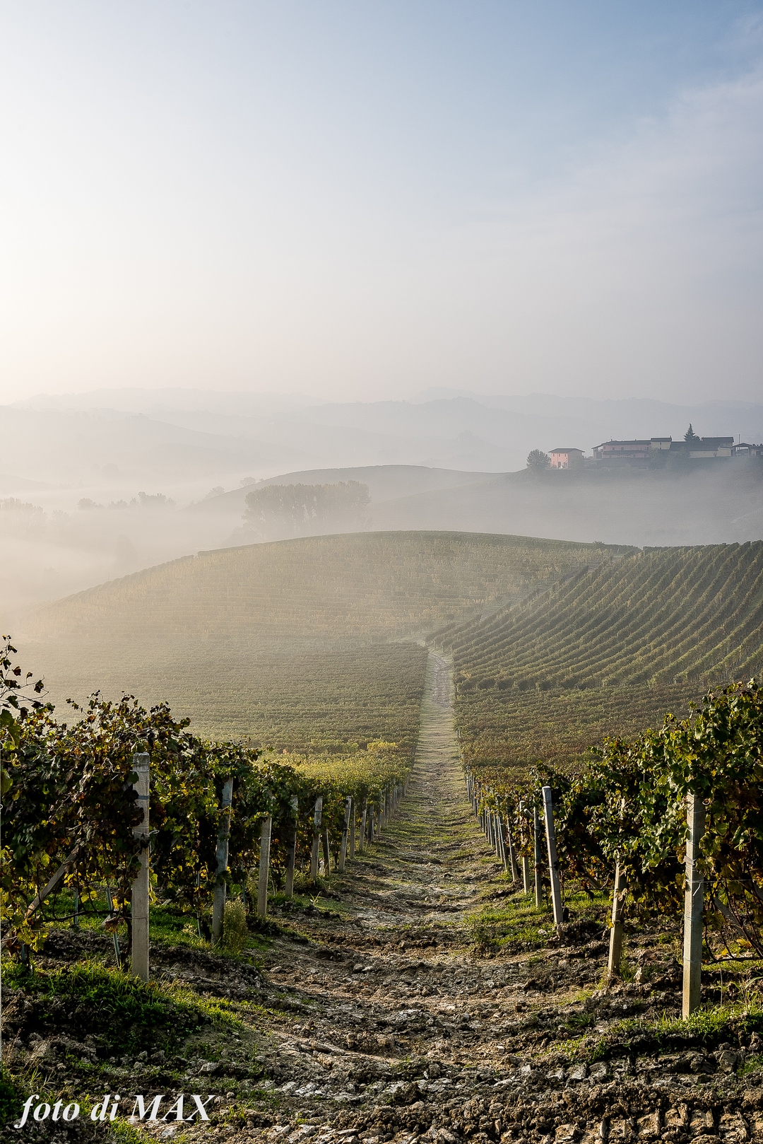 i sentieri  del vino