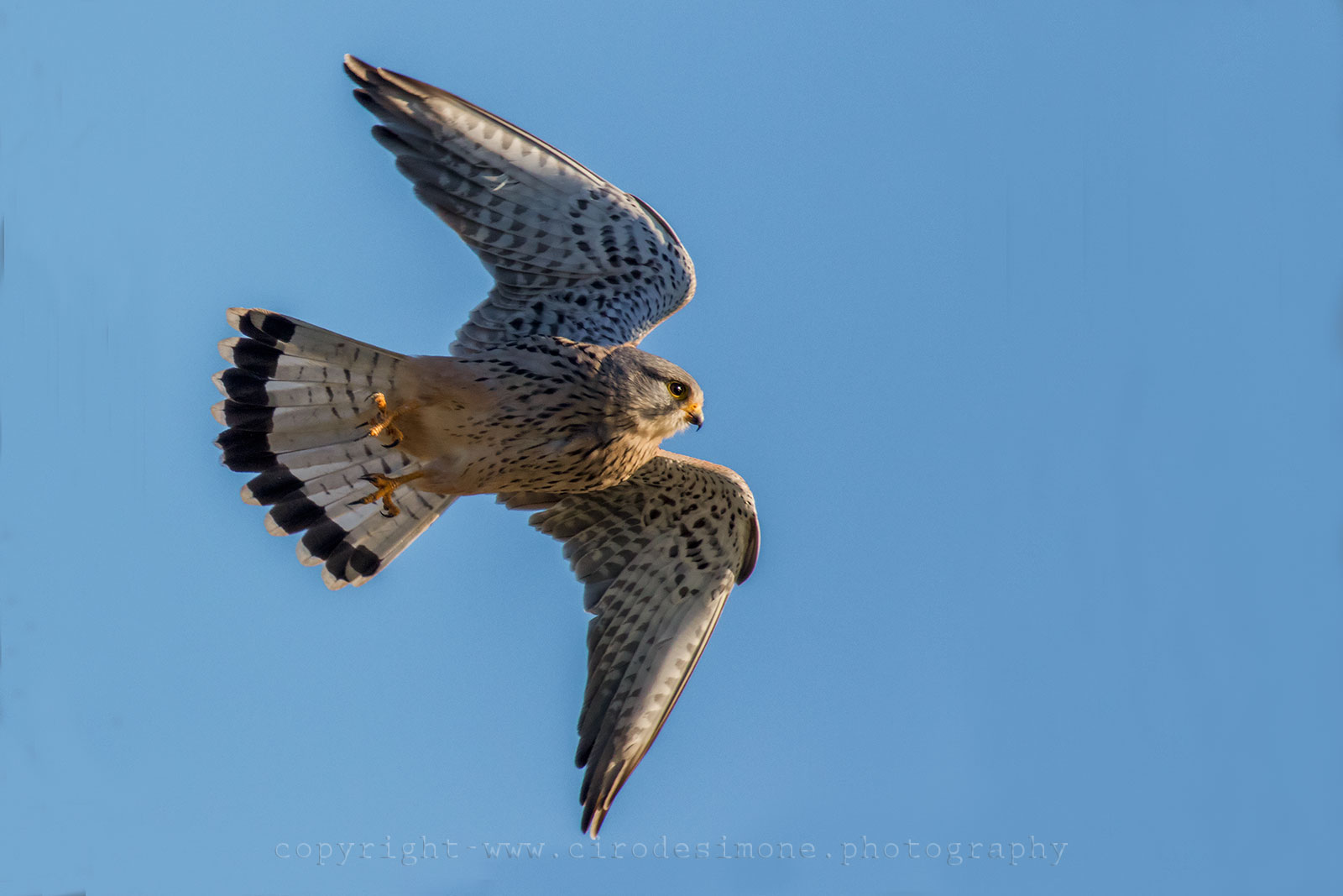 Caught in flight: finally