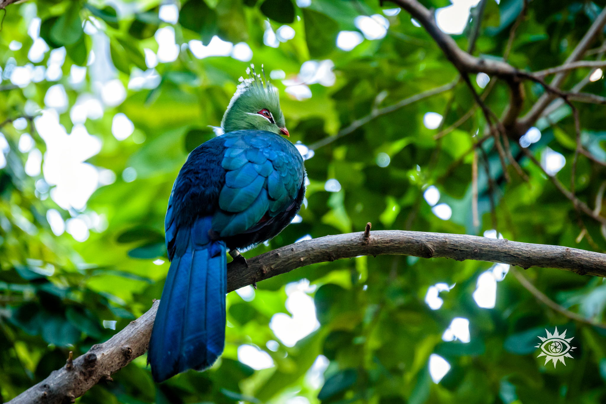 Colori di Madre Natura