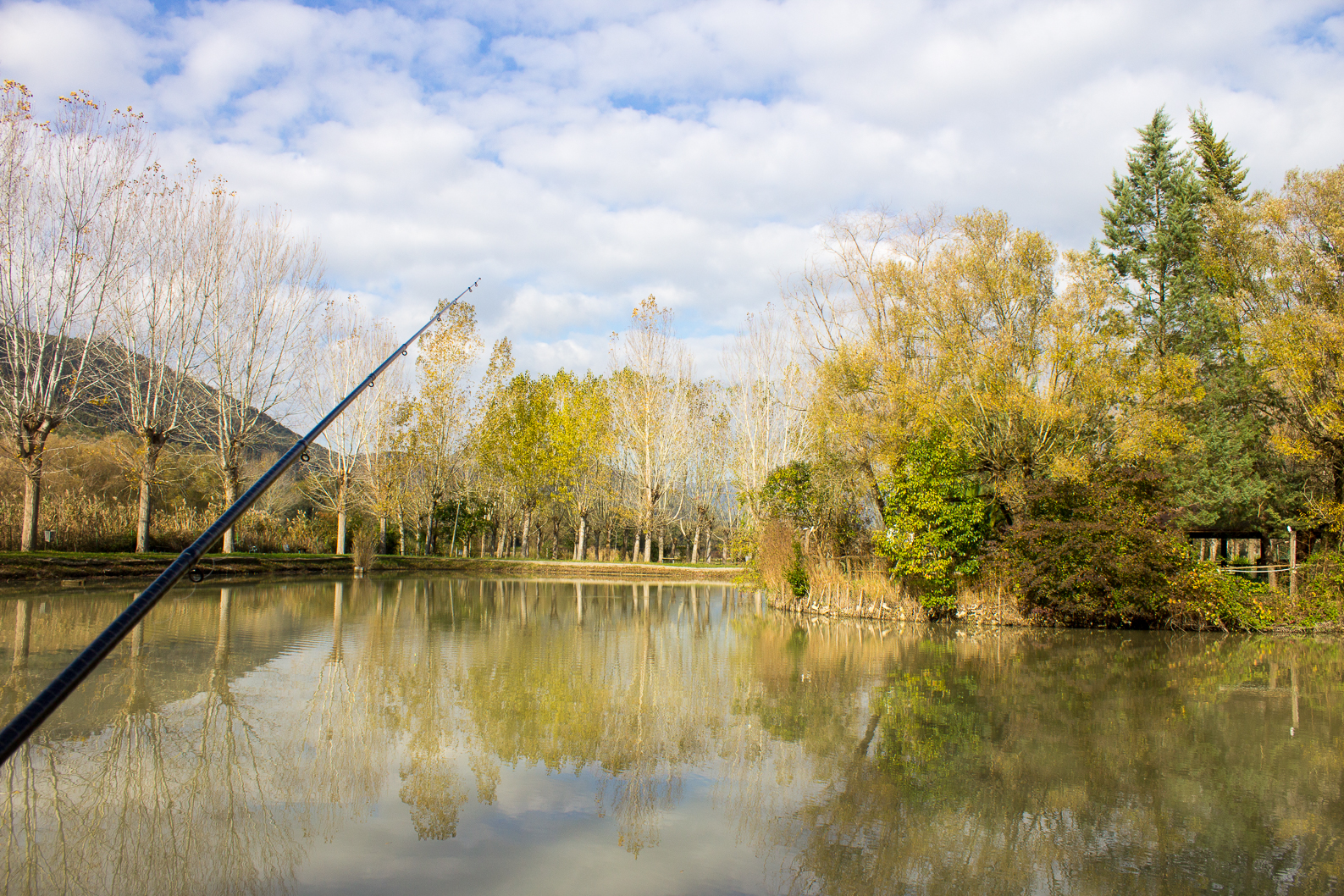 A Day at the Lake ...