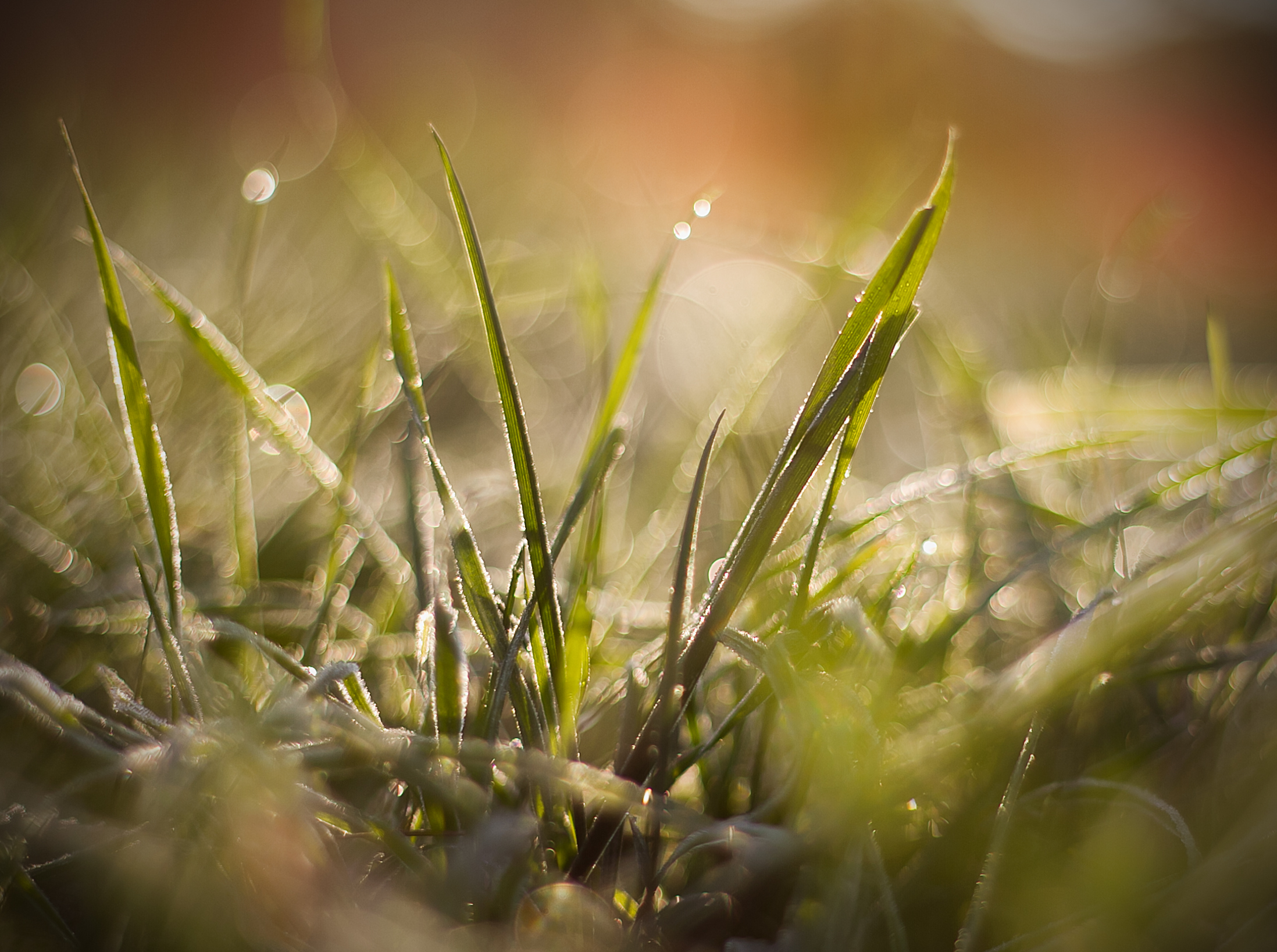 Ultimo sole autunnale......