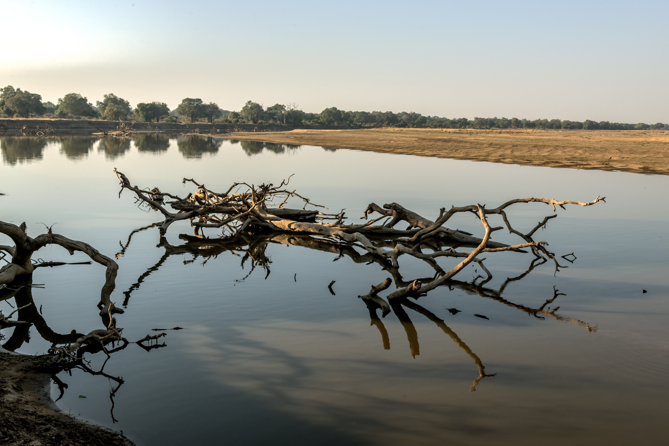 Zambia 2015 - Luangwa