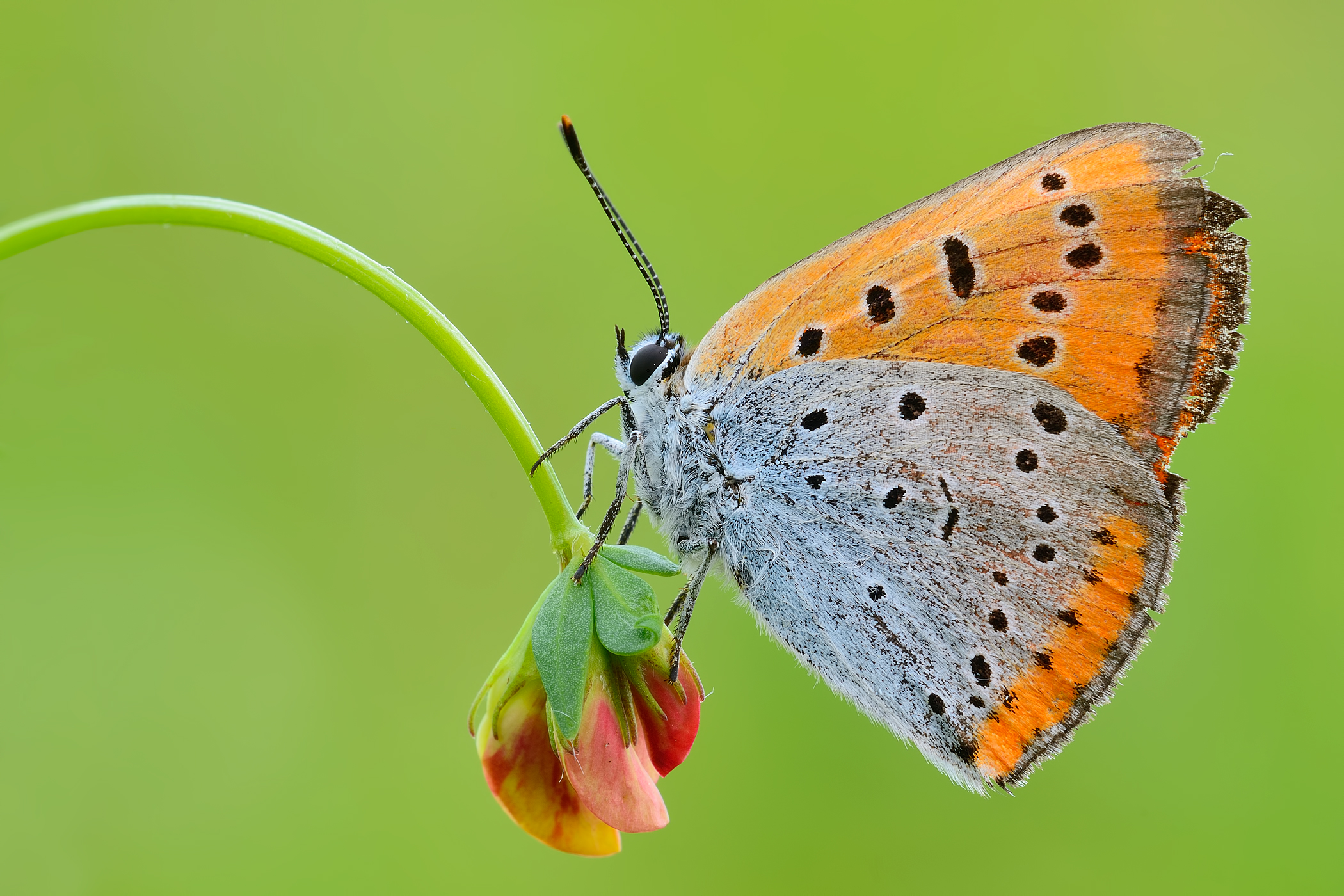 There are those who ... and Losers