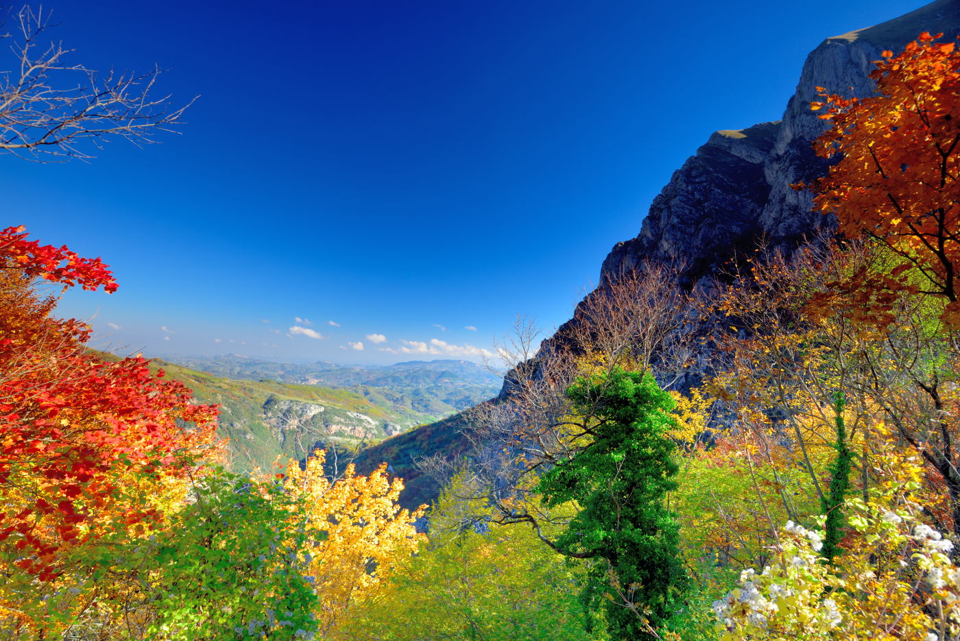 "Glimpses sibillinici"