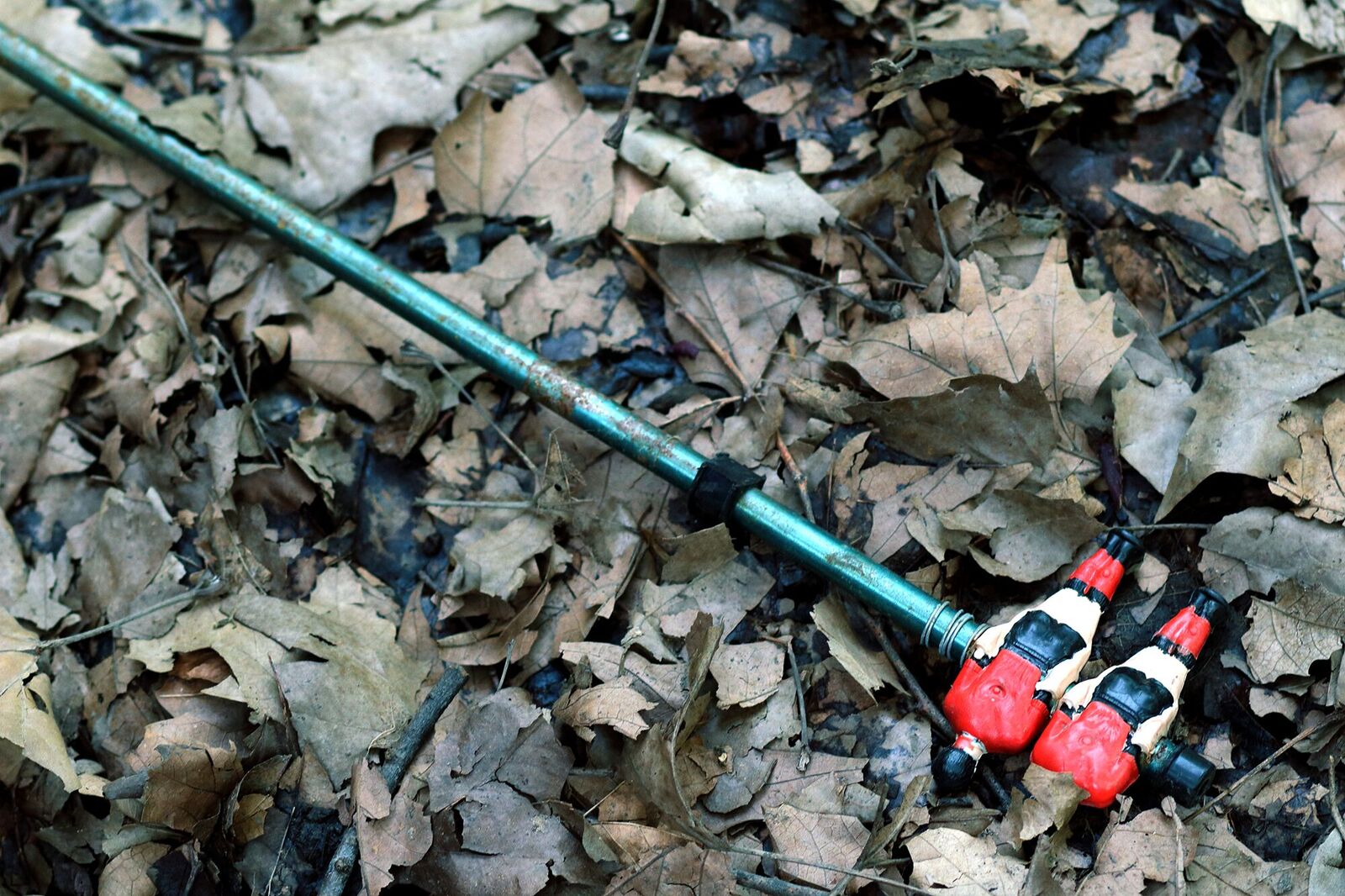 Non c'é riconoscenza nel mondo del calcio...