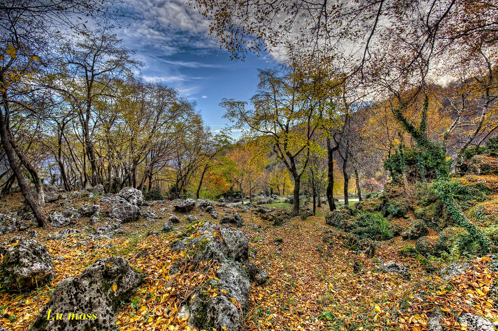 Autumn, the last color.