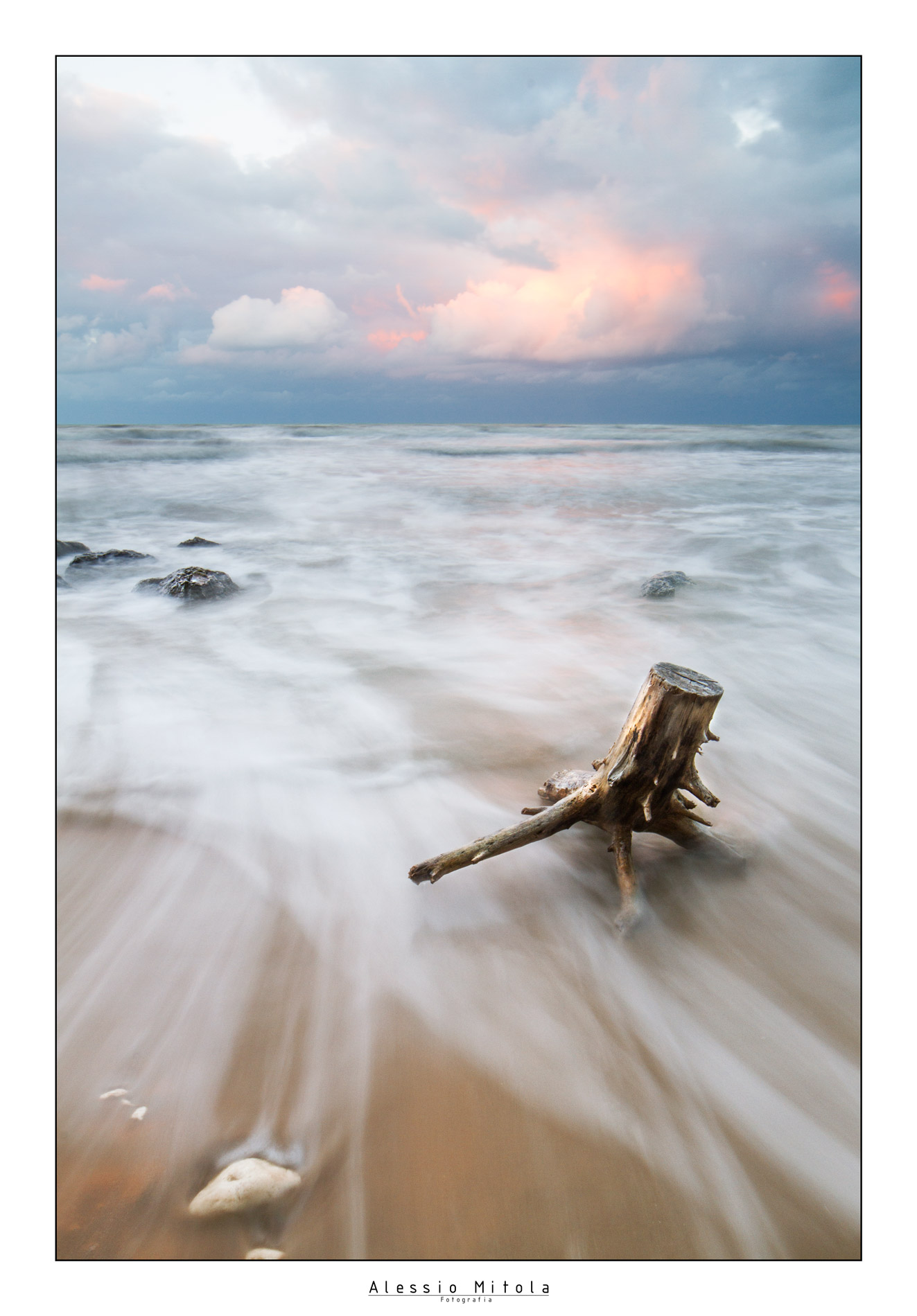 Tronco nella tempesta