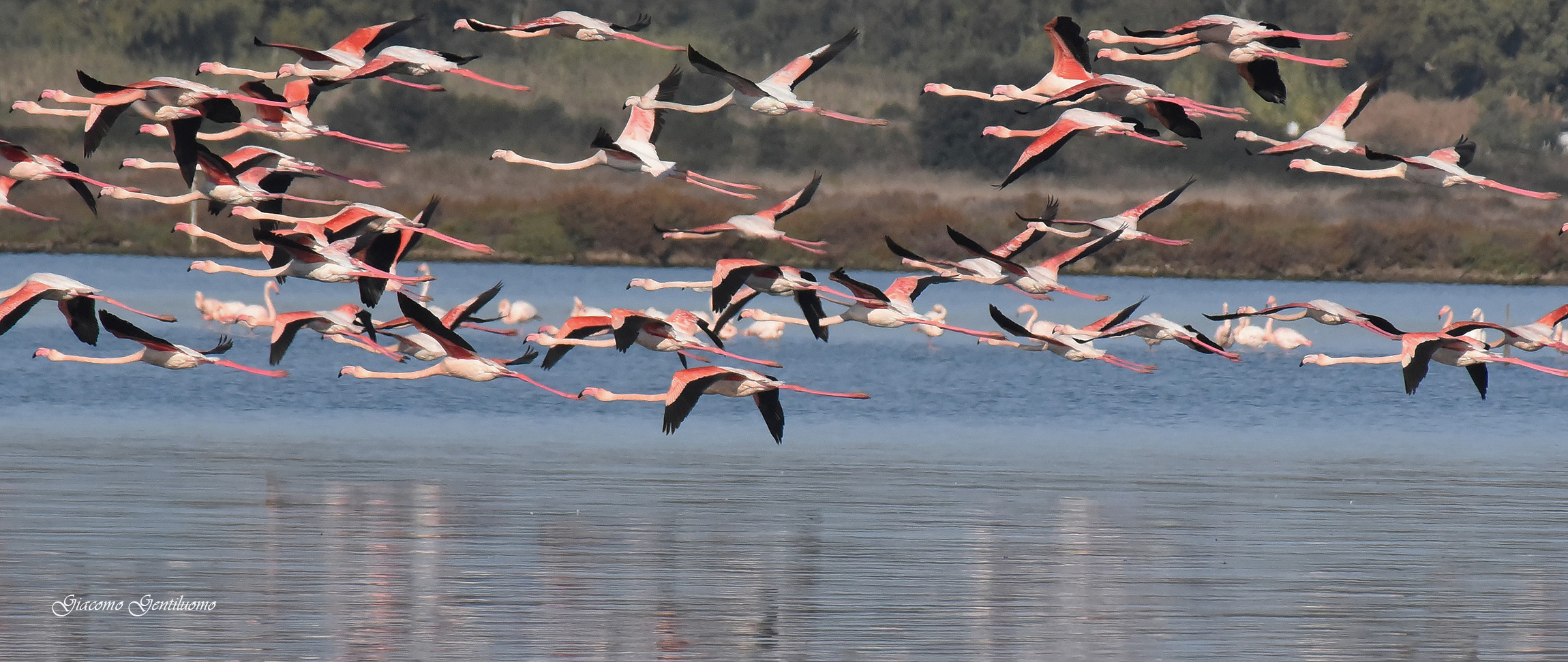 in volo di spostamento