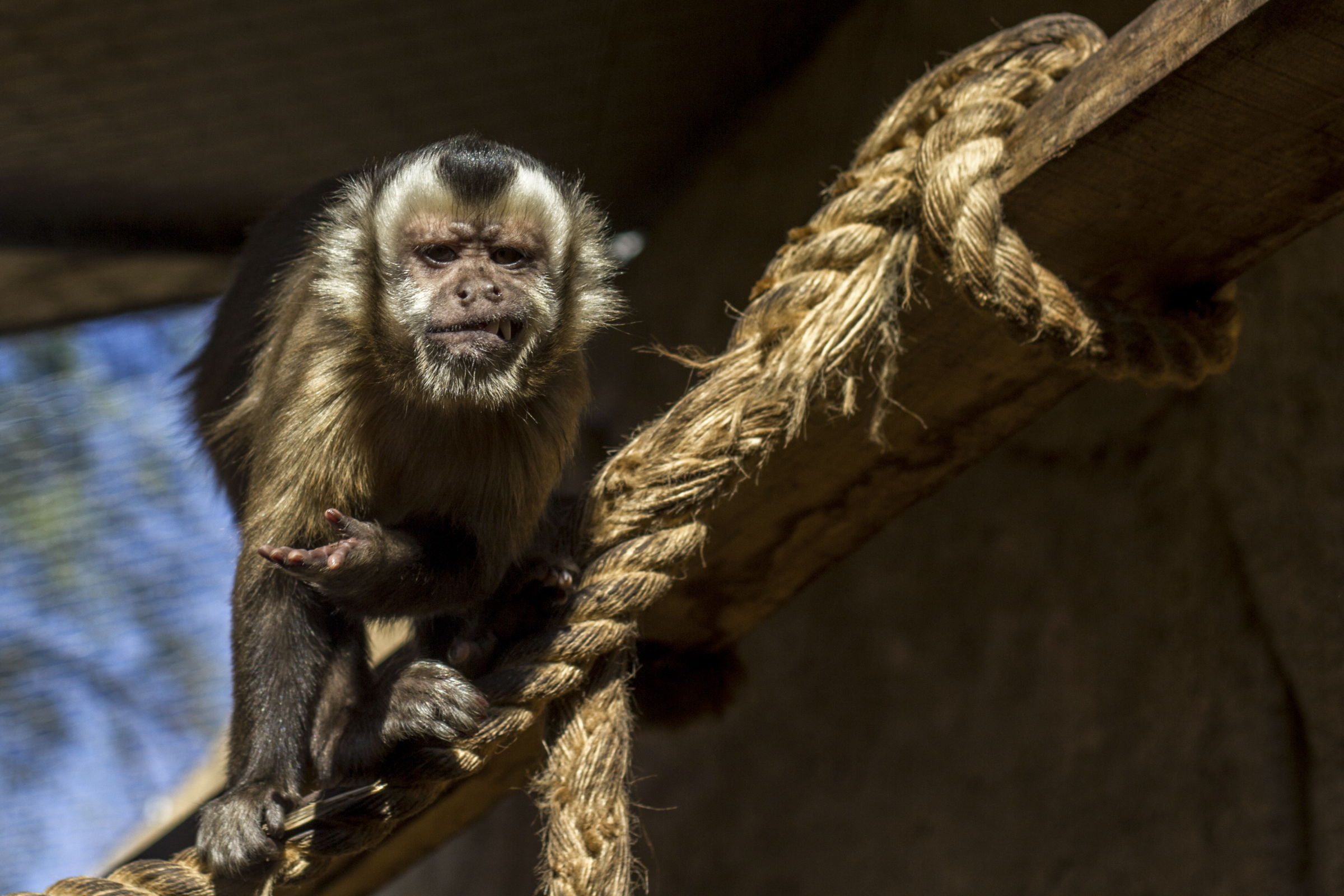 Nice to bring the kids to the zoo
