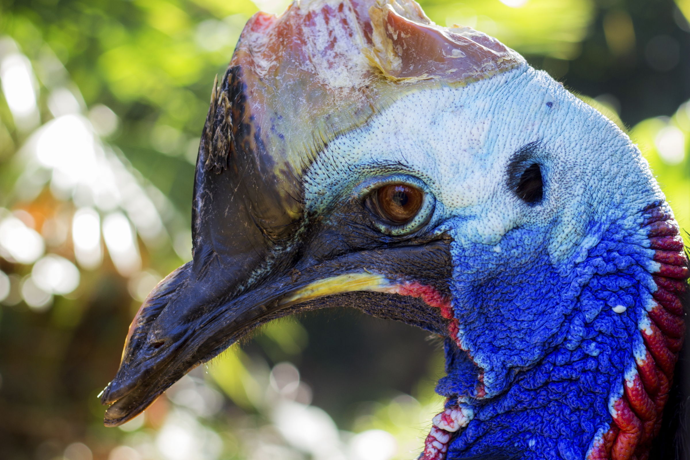 Nice to bring the kids to the zoo