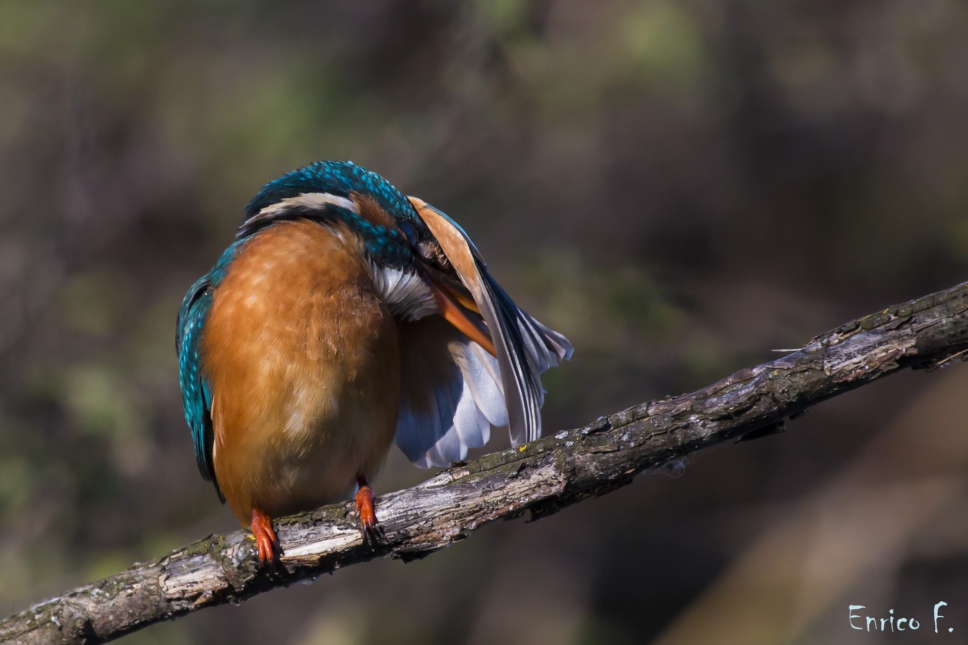 Martina. Timida o smorfiosa ?