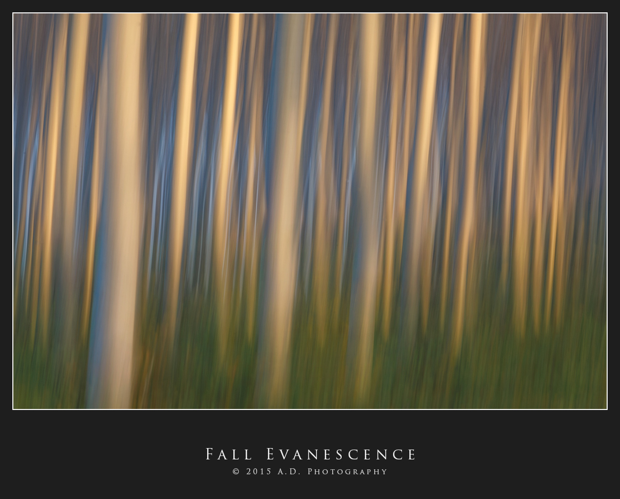 Evanescence Fall