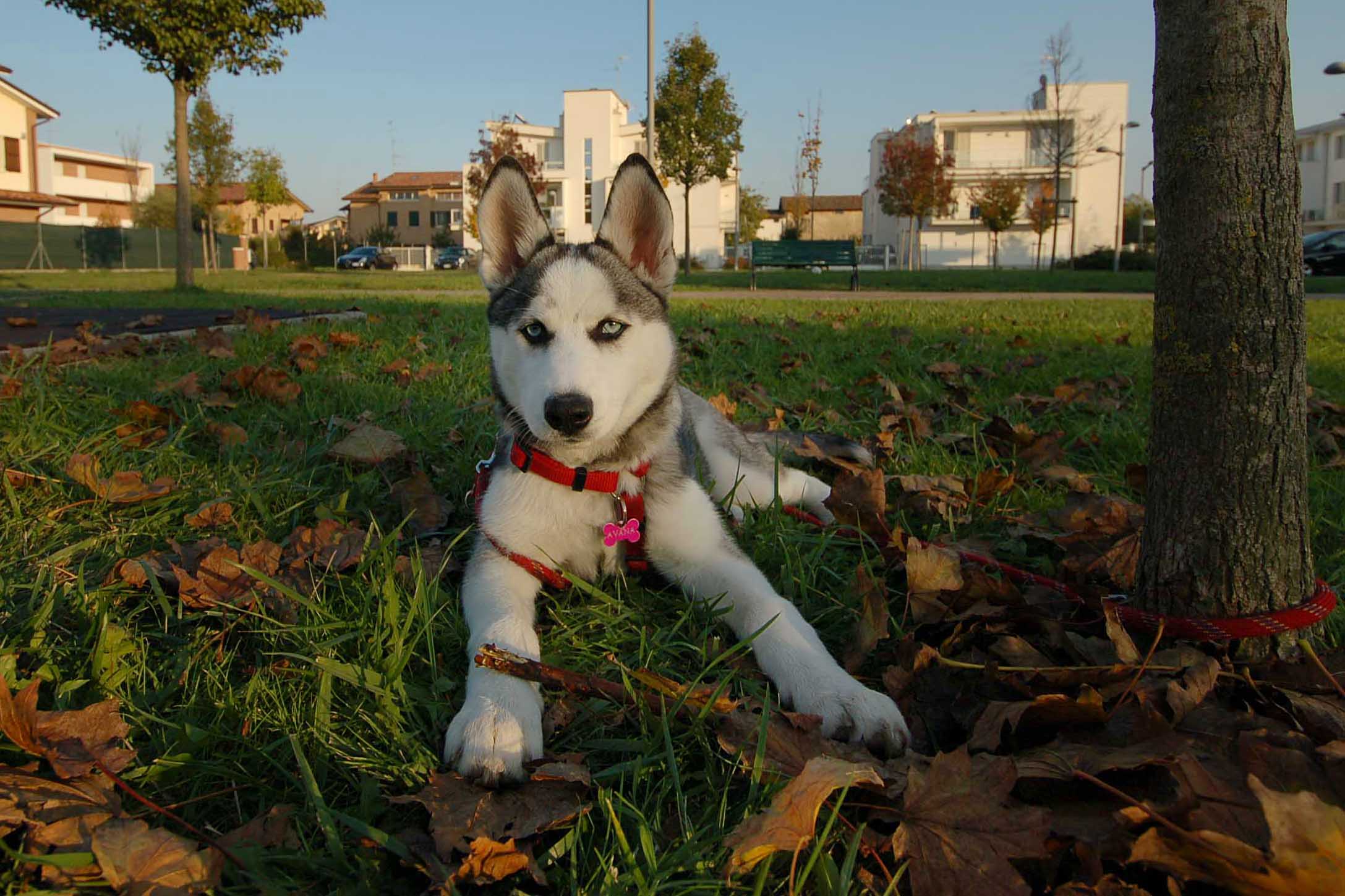 'cause I have linked?