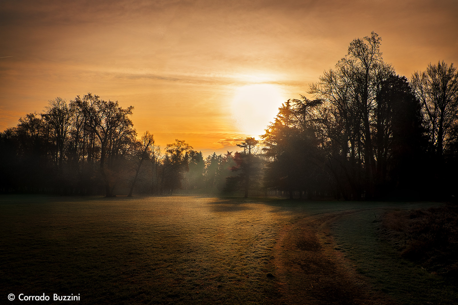 alba al parco di Monza