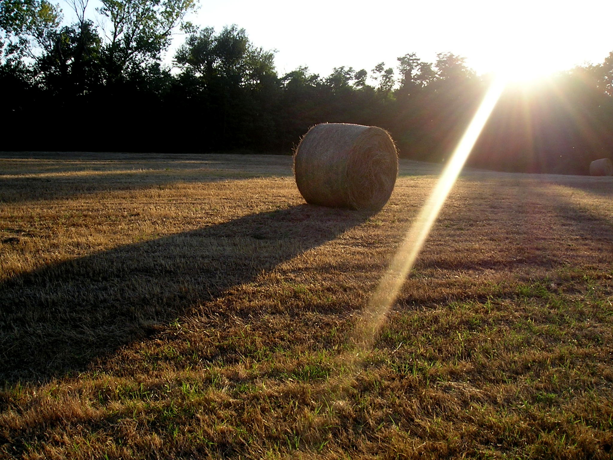 Raggio d'ombra e raggio di luce