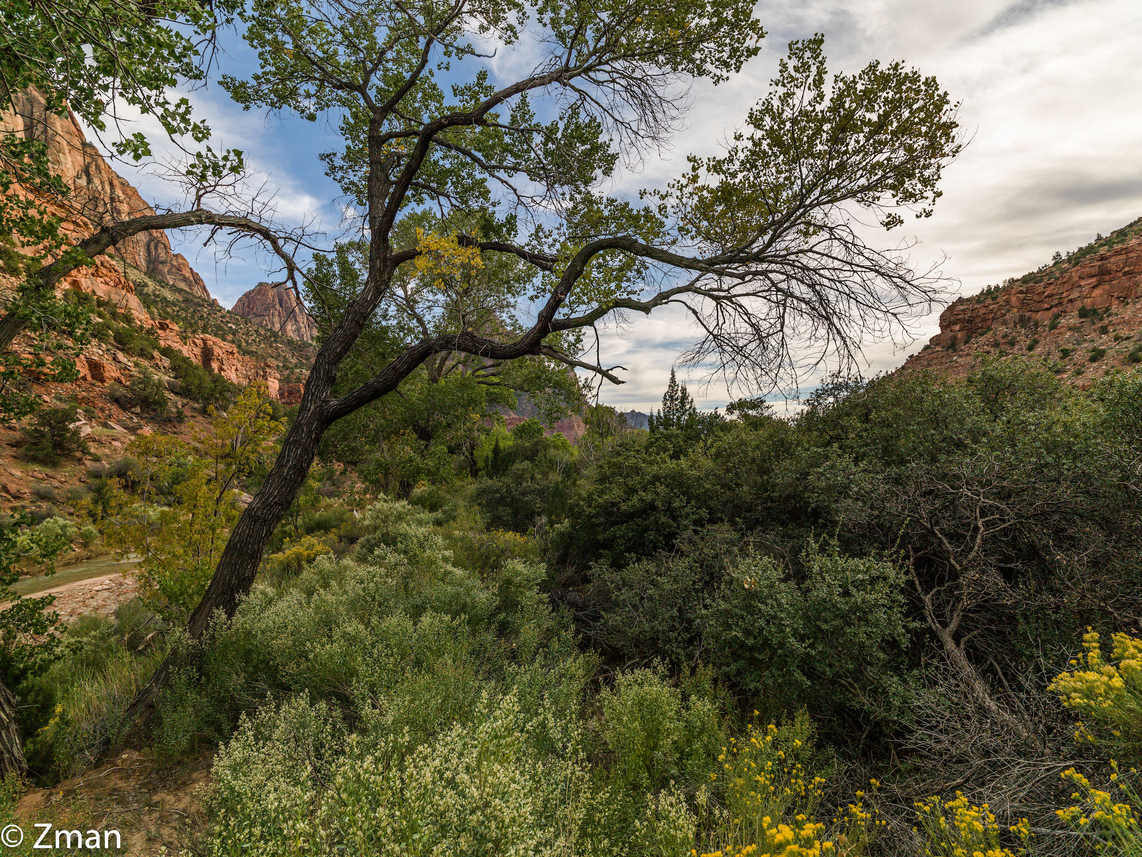 Zion National Park
