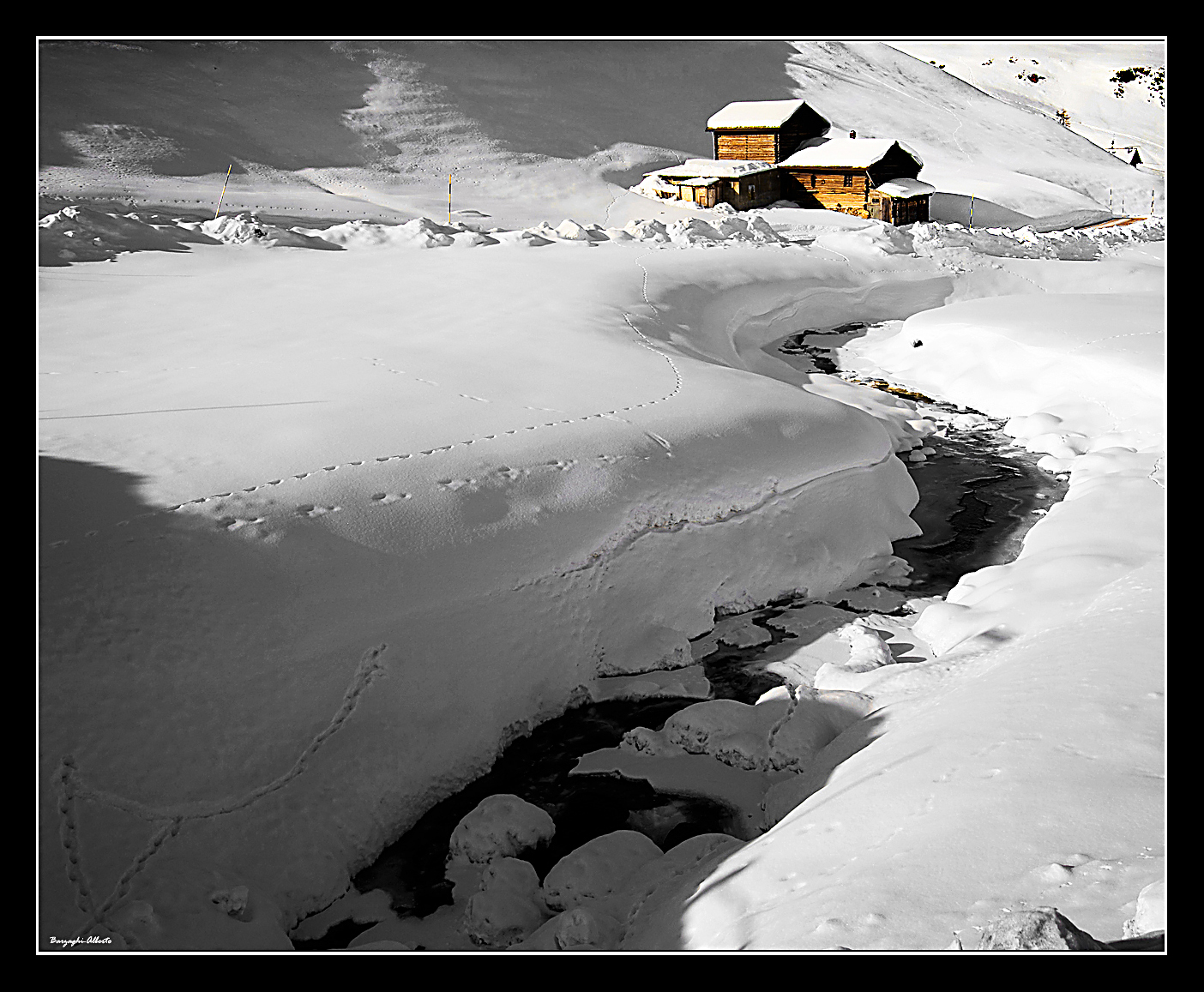 il bianco della neve