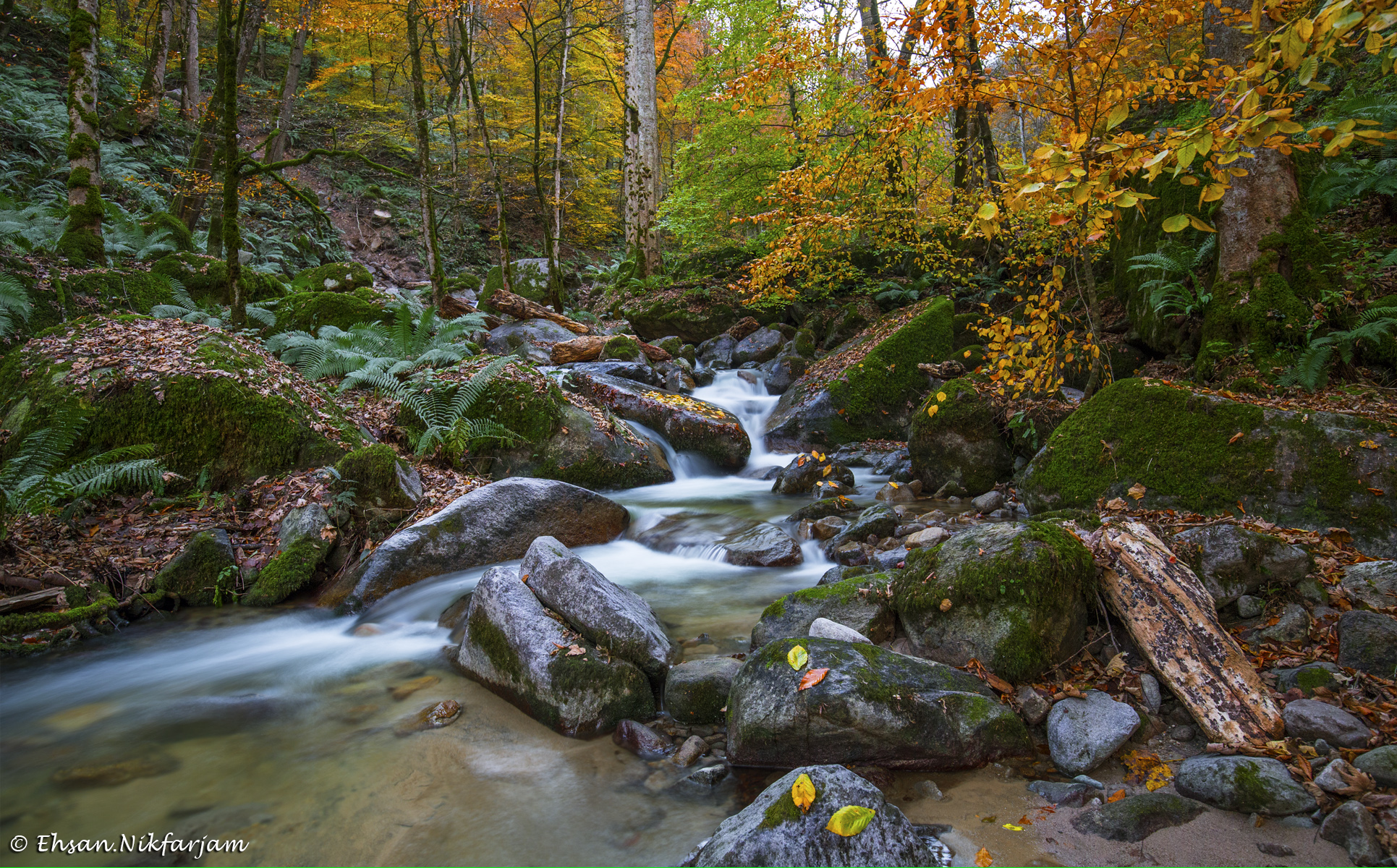 Autumn King of Seasons