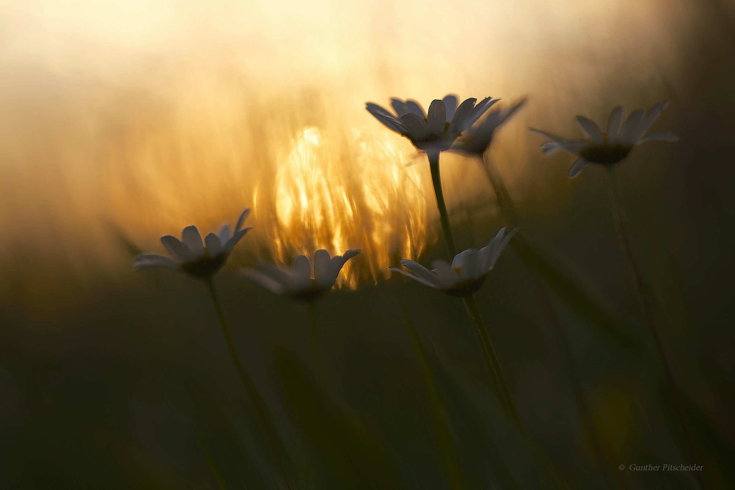 Fine di una Giornata