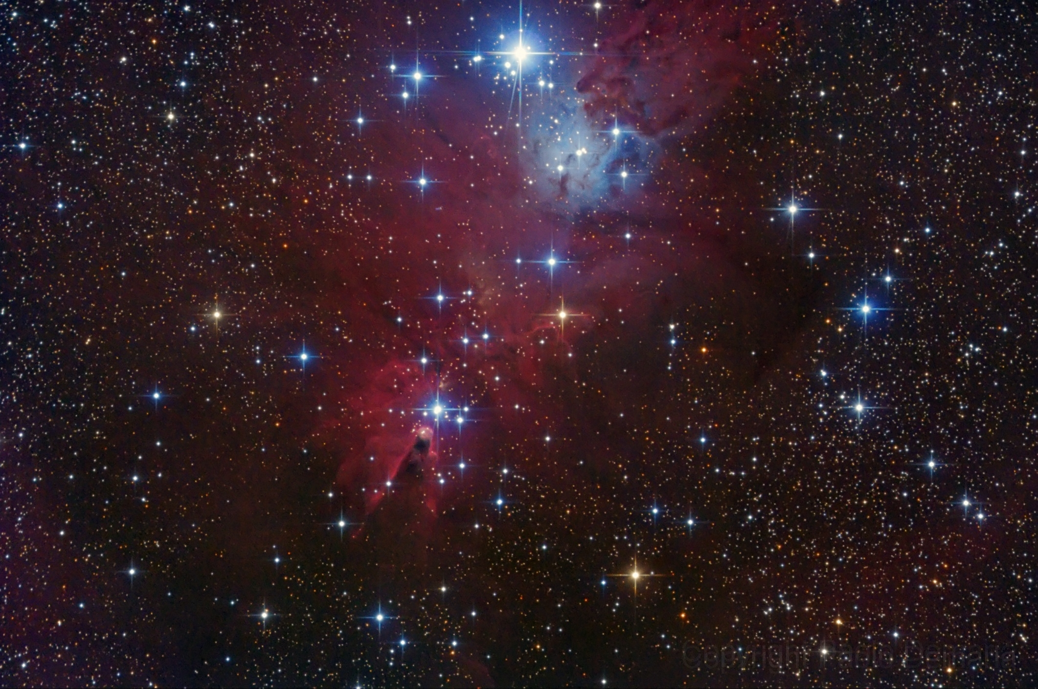Cone Nebula