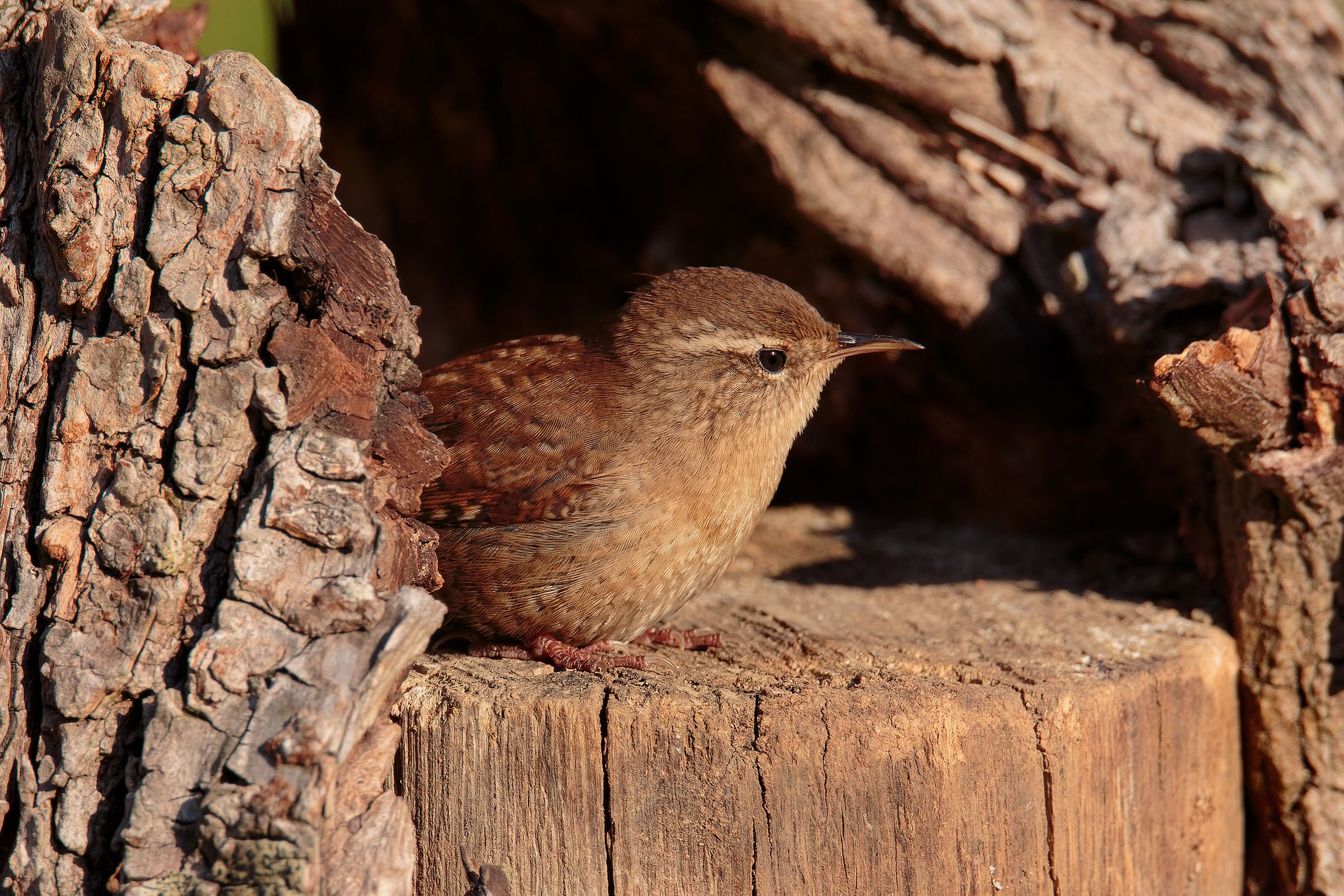 La mia nuova casa...