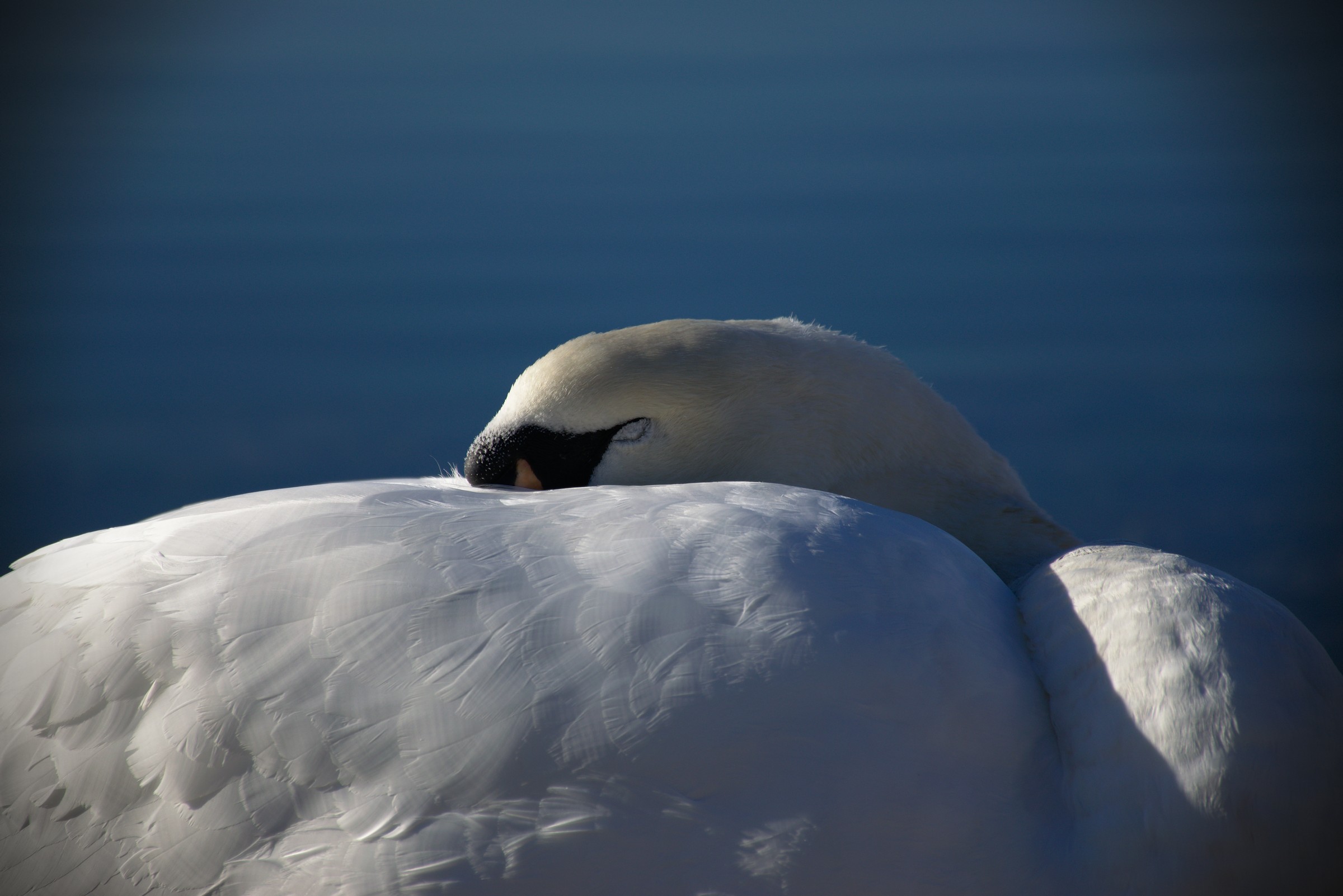 Ancora 5 minutini...