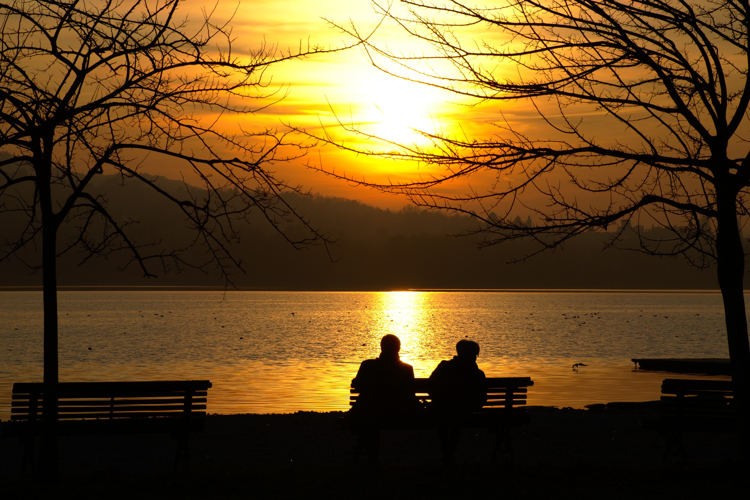 Godiamoci lo spettacolo